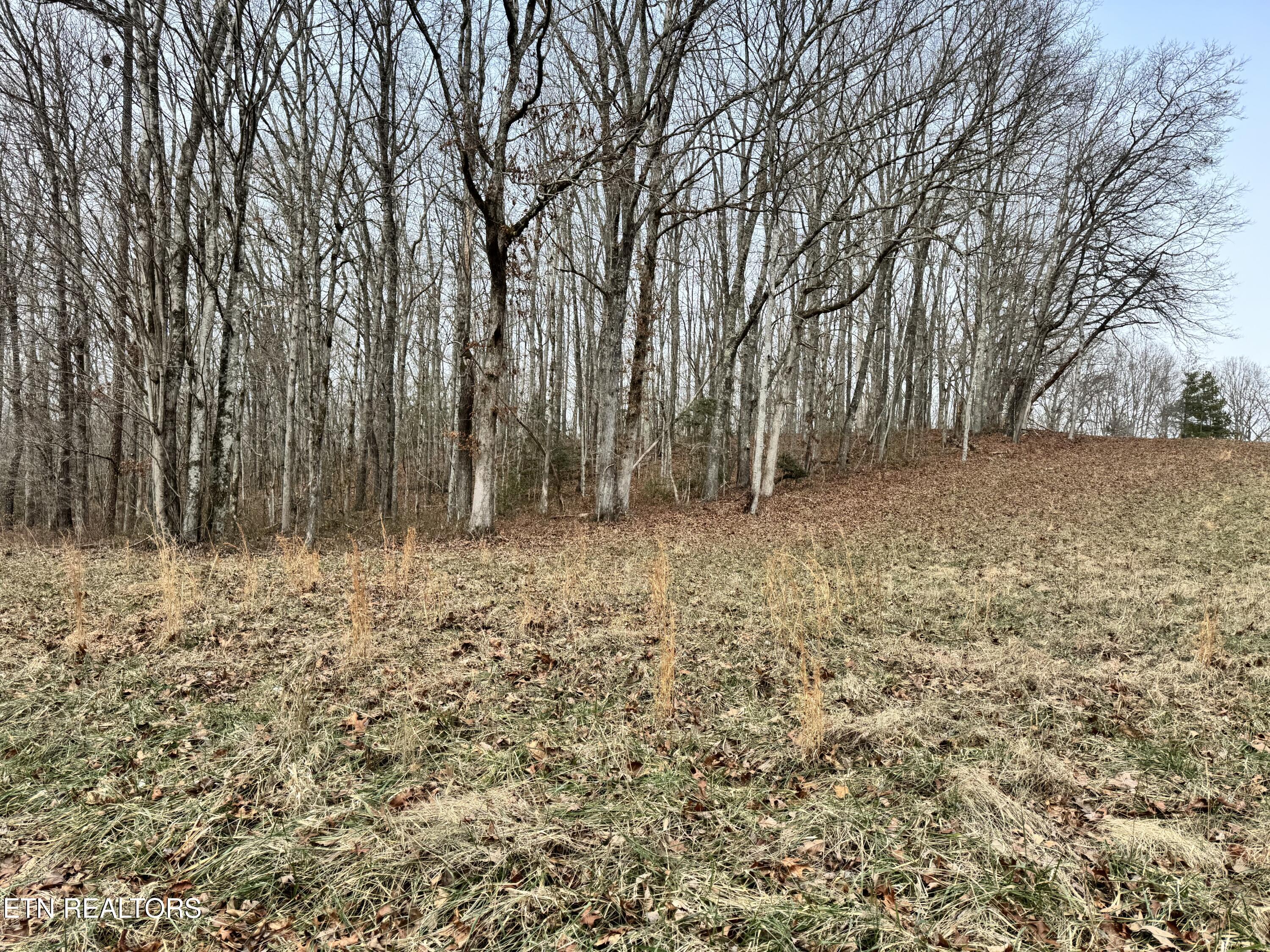 41 Smith Mountain Road Rockwood TN 37854