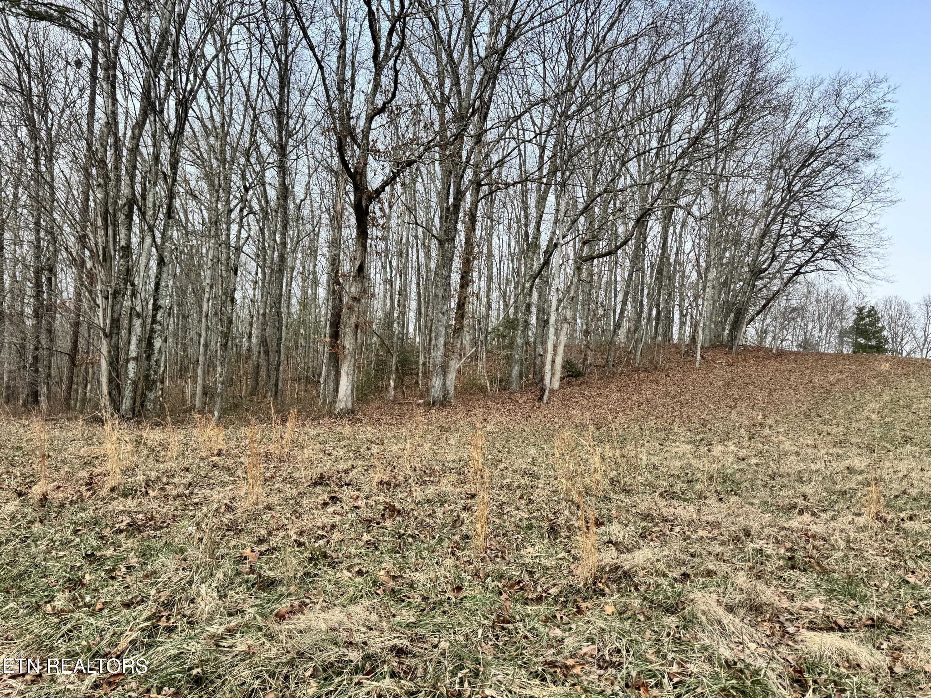 41 Smith Mountain Road Rockwood TN 37854