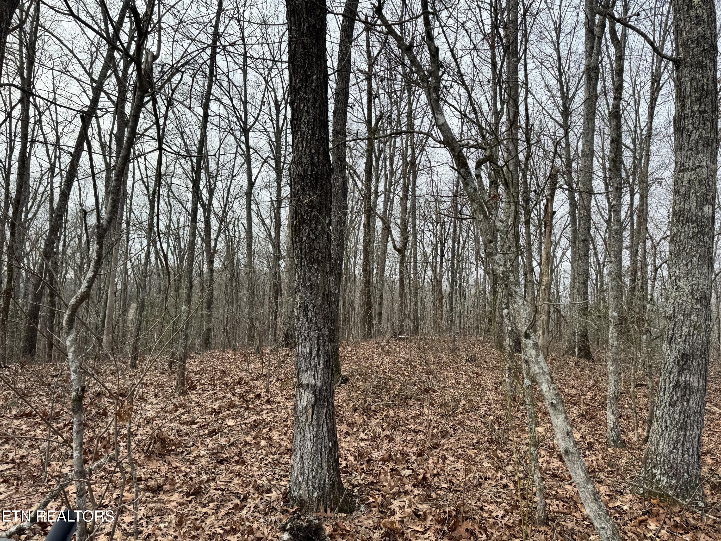 41 Smith Mountain Road Rockwood TN 37854