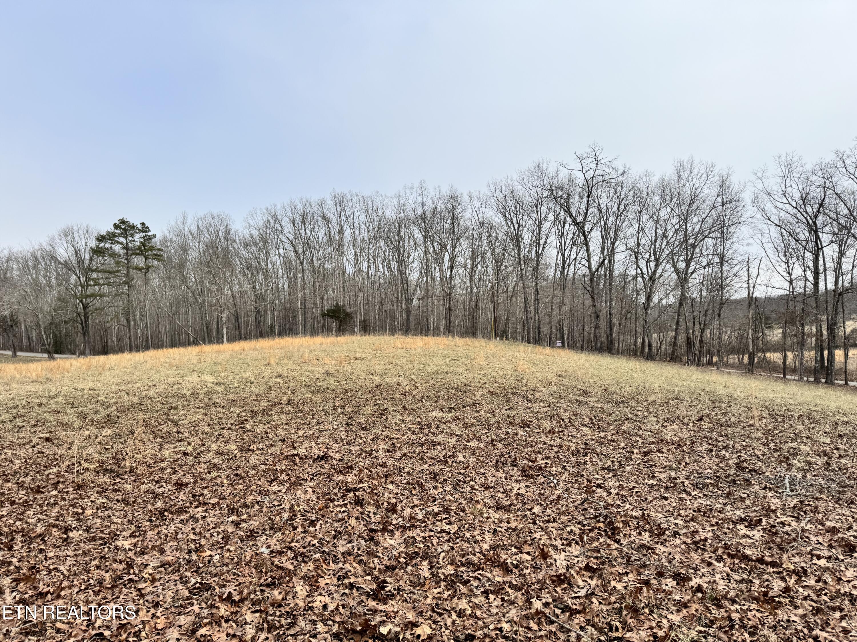 41 Smith Mountain Road Rockwood TN 37854