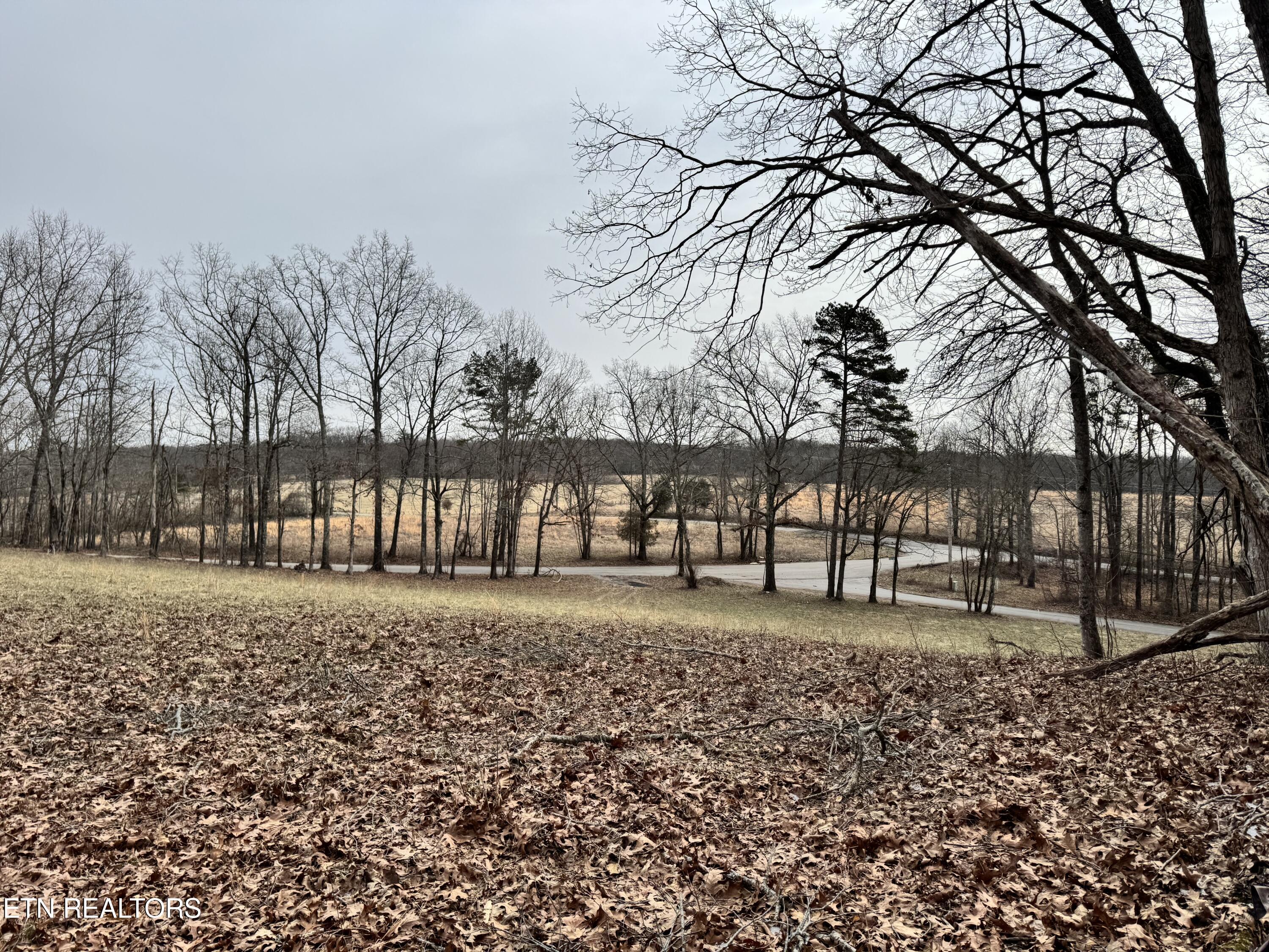 41 Smith Mountain Road Rockwood TN 37854