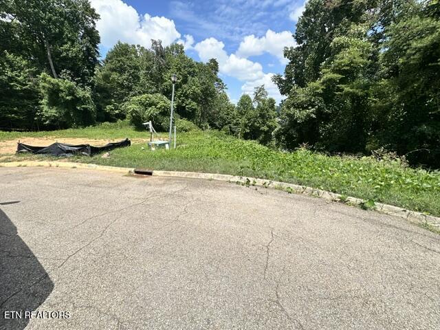 481 Laurel Ridge Lane Knoxville TN 37922