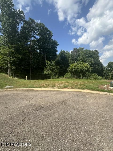 481 Laurel Ridge Lane Knoxville TN 37922