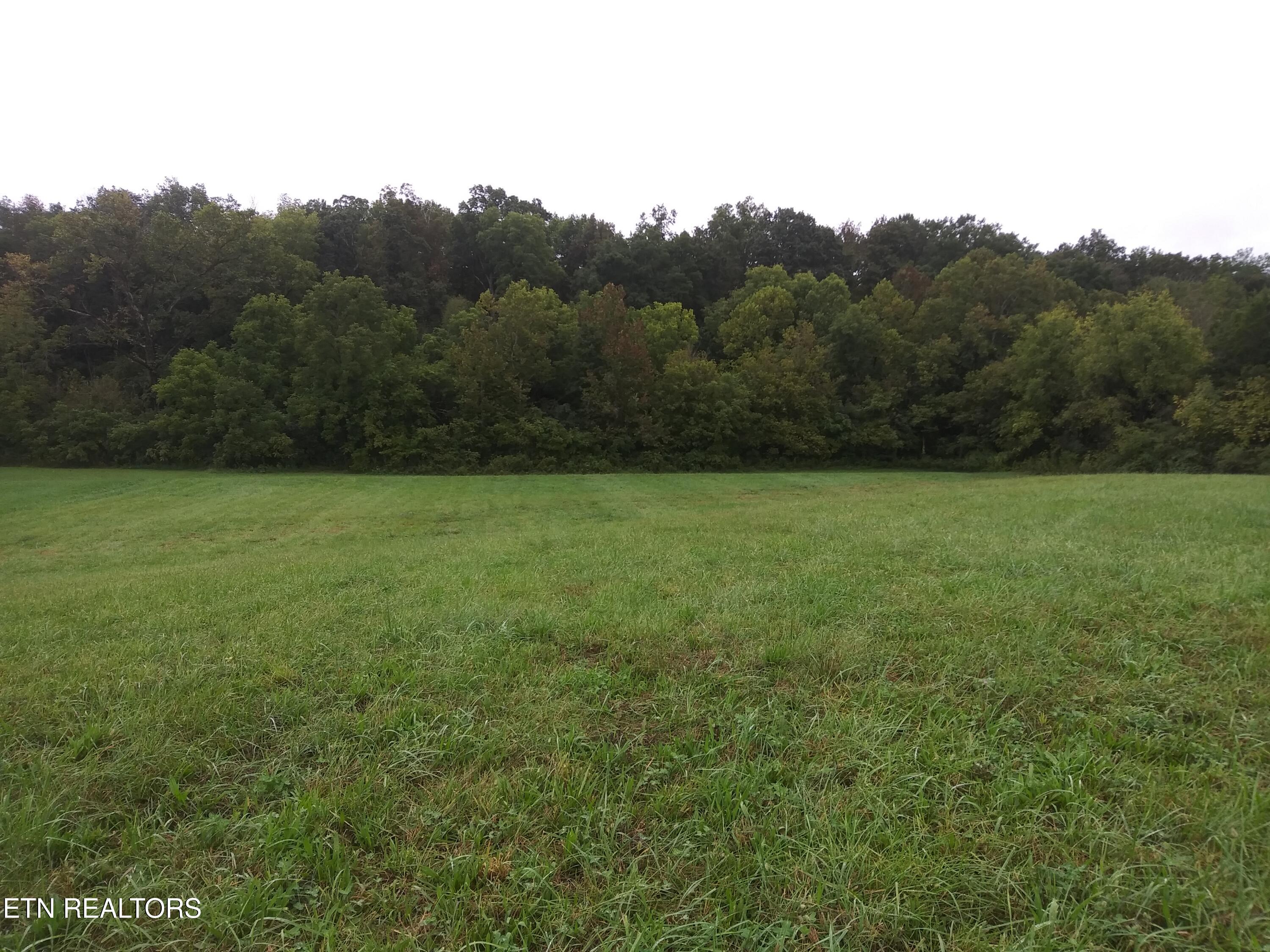 1333 Cherry Street Rutledge TN 37861