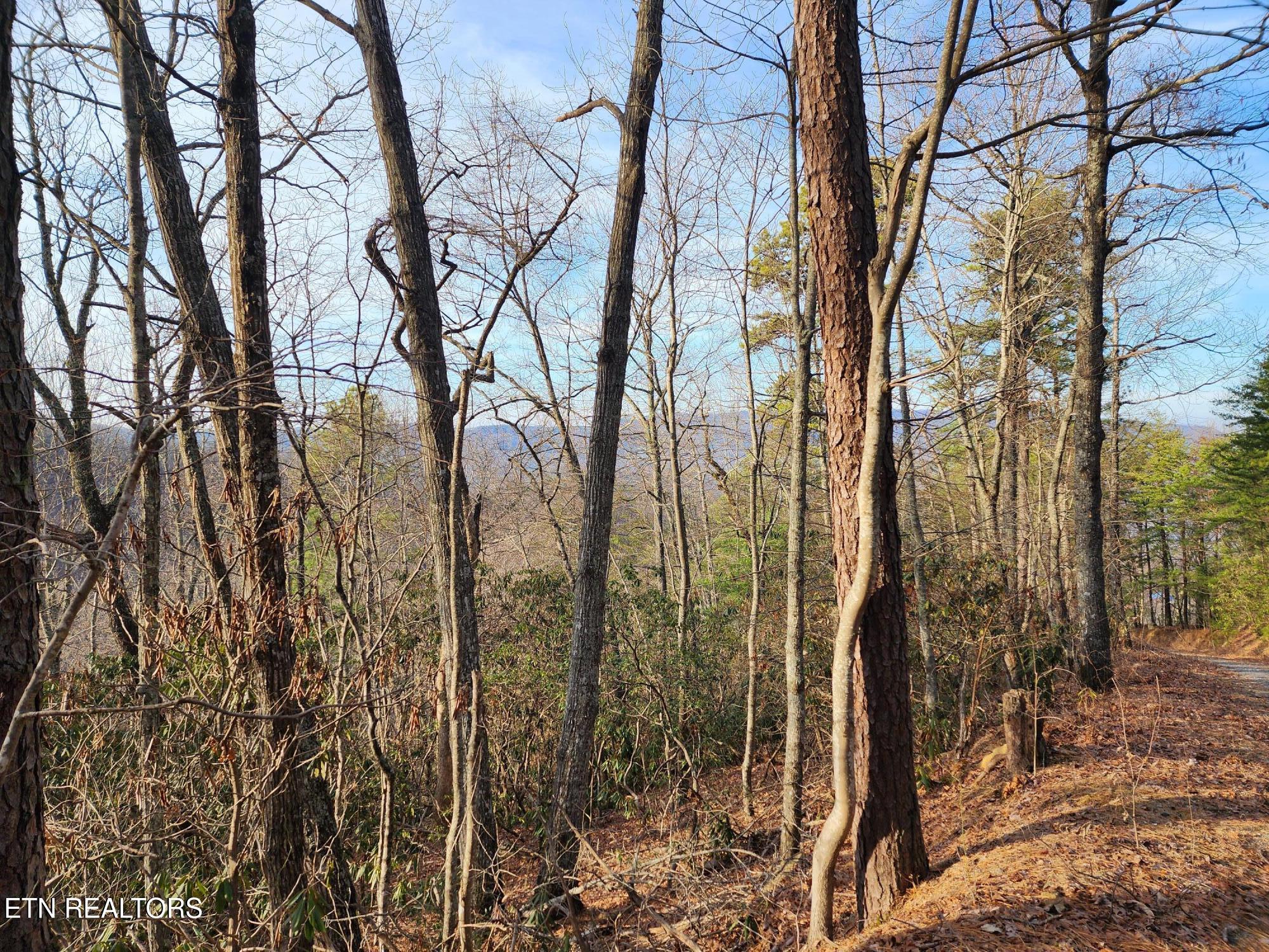 3008 Overholt Trl Lot 8r Sevierville TN 37862