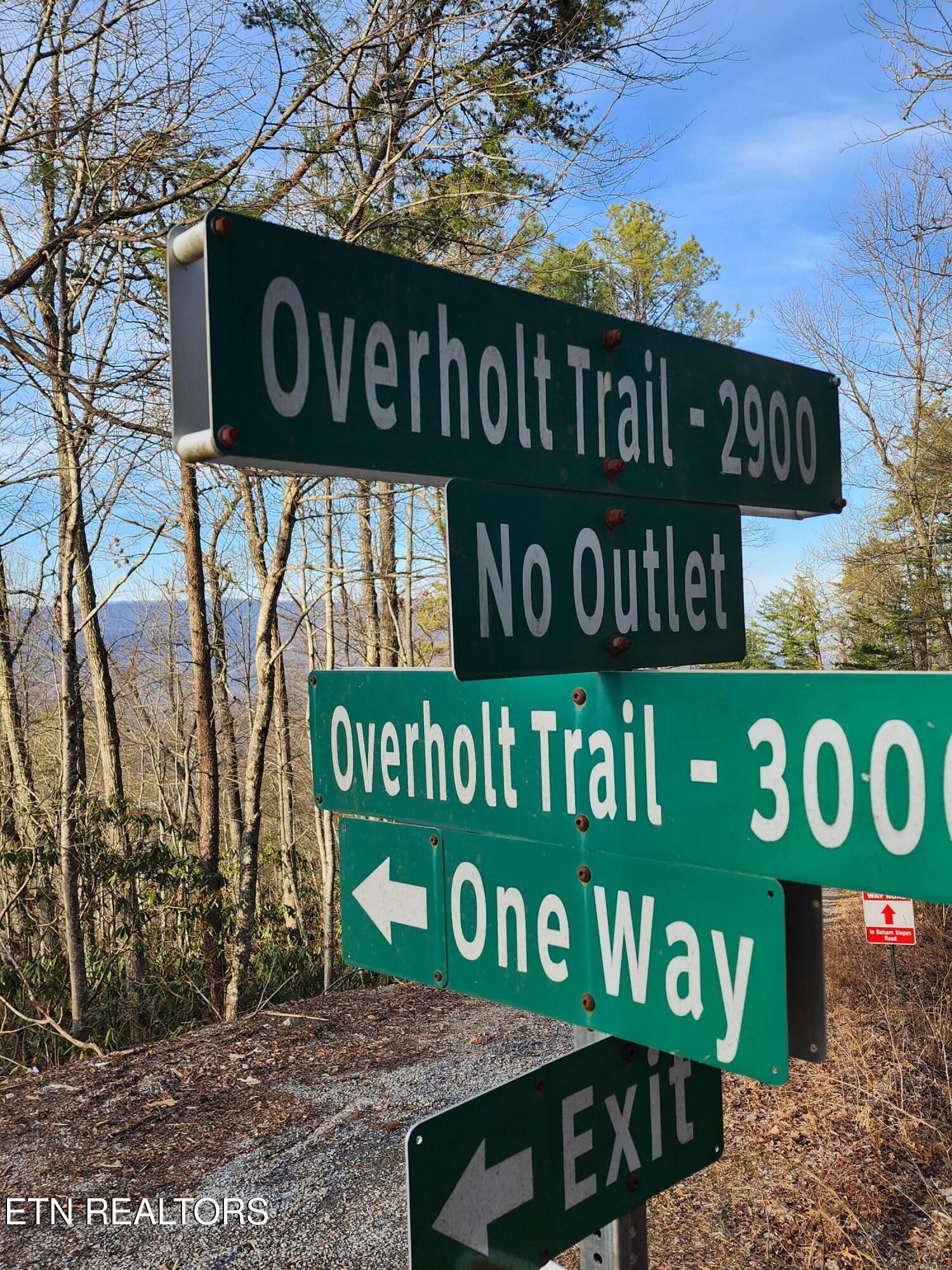 3008 Overholt Trl Lot 8r Sevierville TN 37862