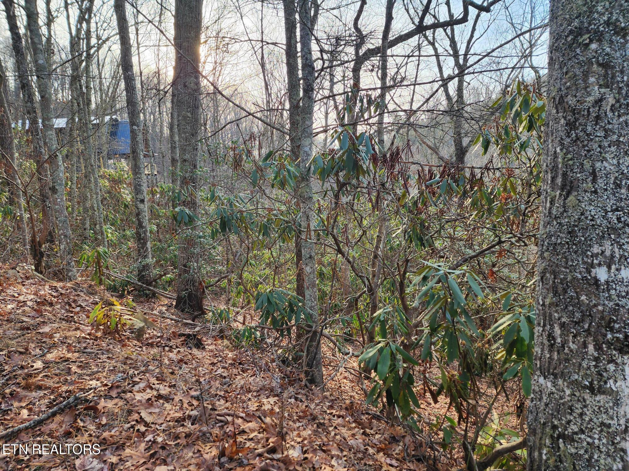 3008 Overholt Trl Lot 8r Sevierville TN 37862