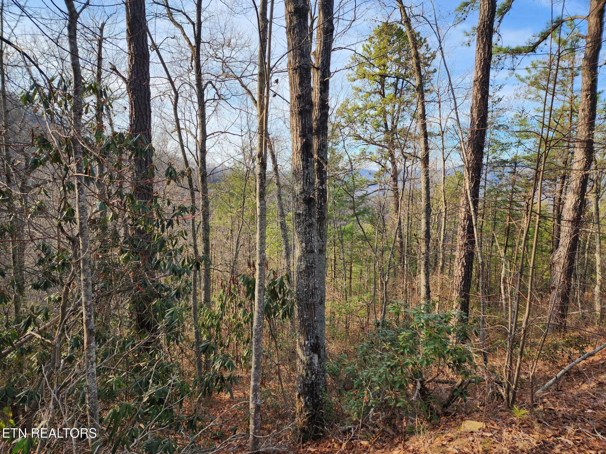 3008 Overholt Trl Lot 8r Sevierville TN 37862