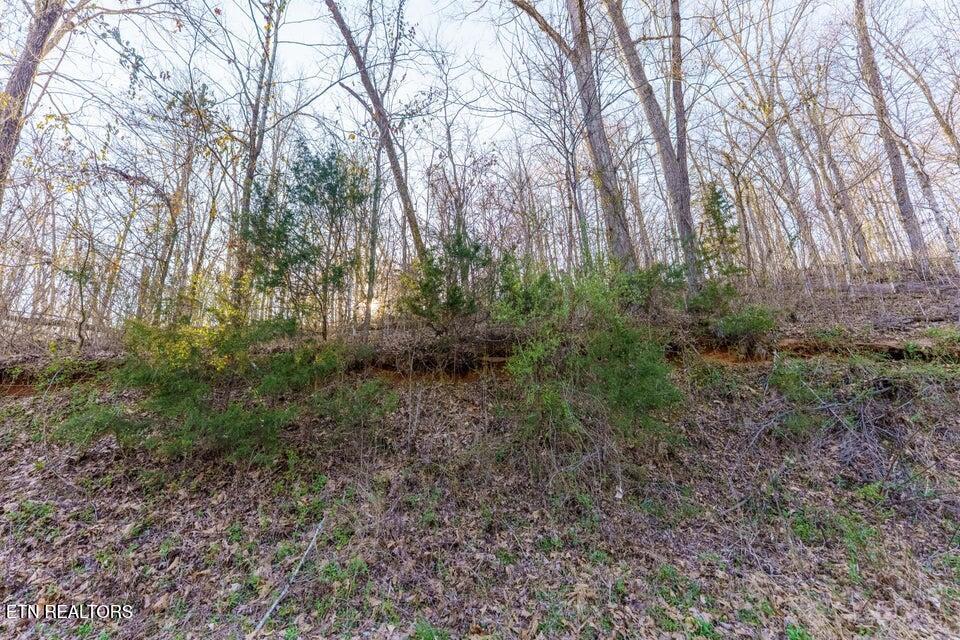 Douglas Dam Road Sevierville TN 37876