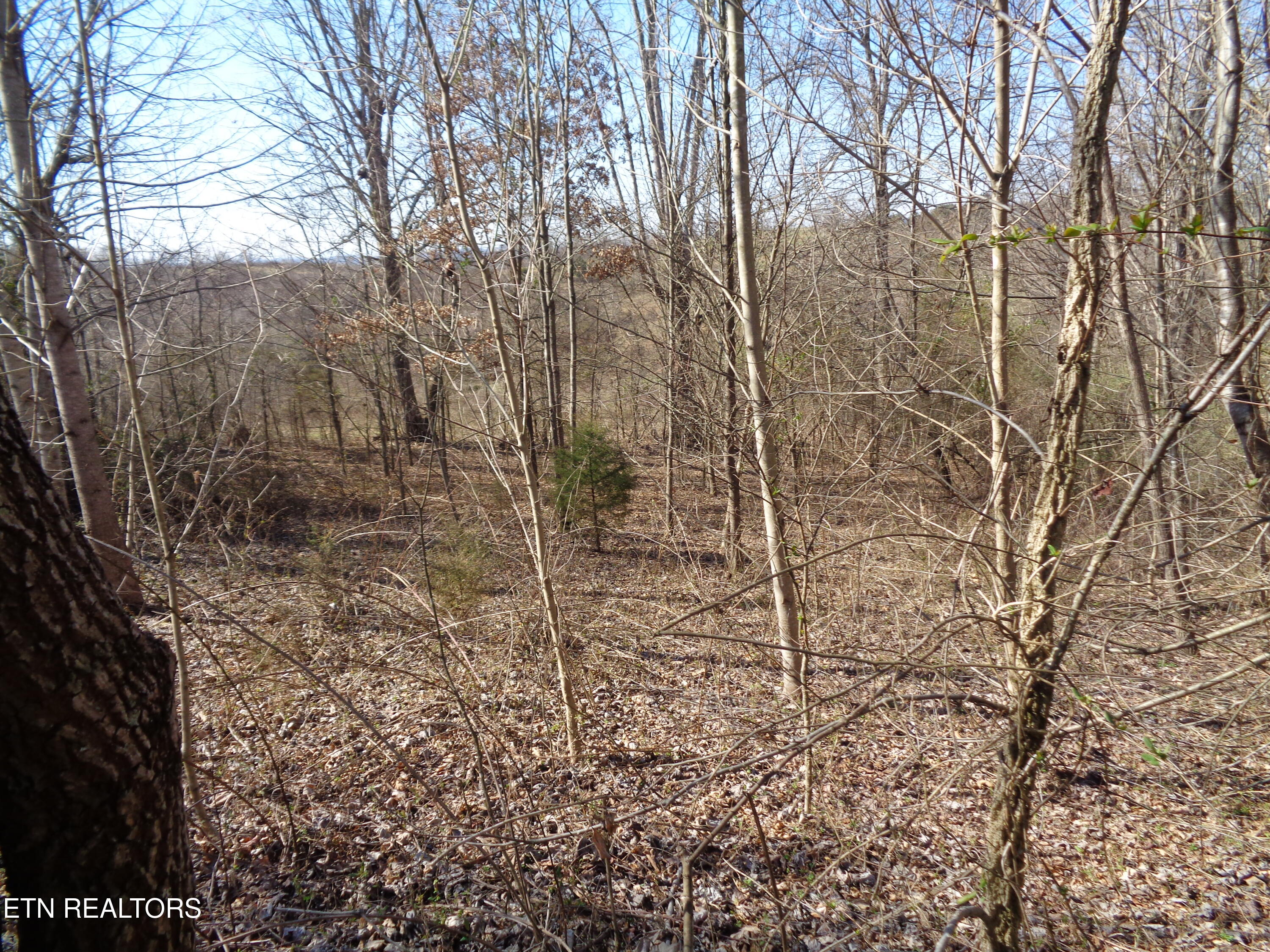 0 Holston River Drive Rutledge TN 37861
