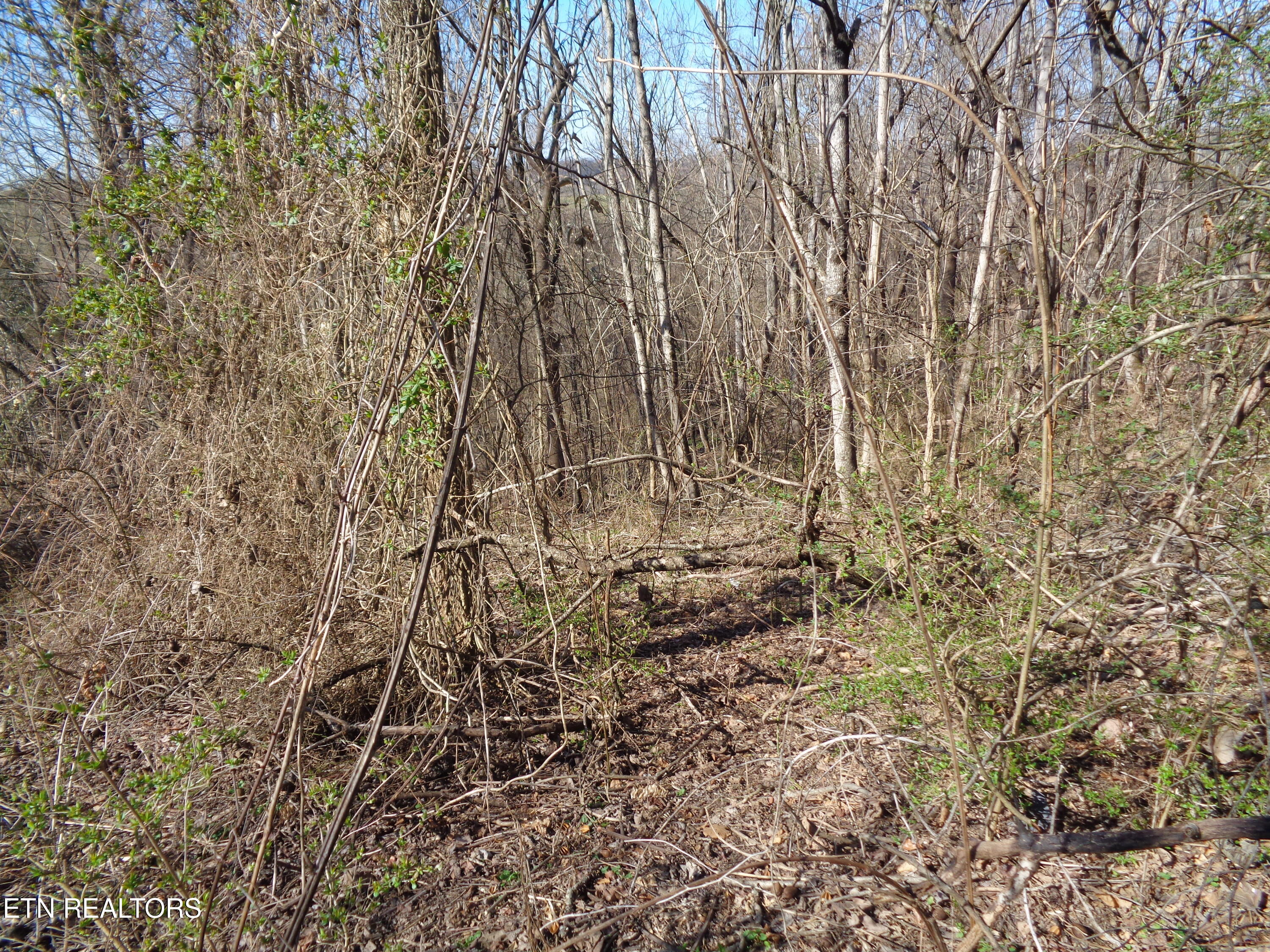 0 Holston River Drive Rutledge TN 37861