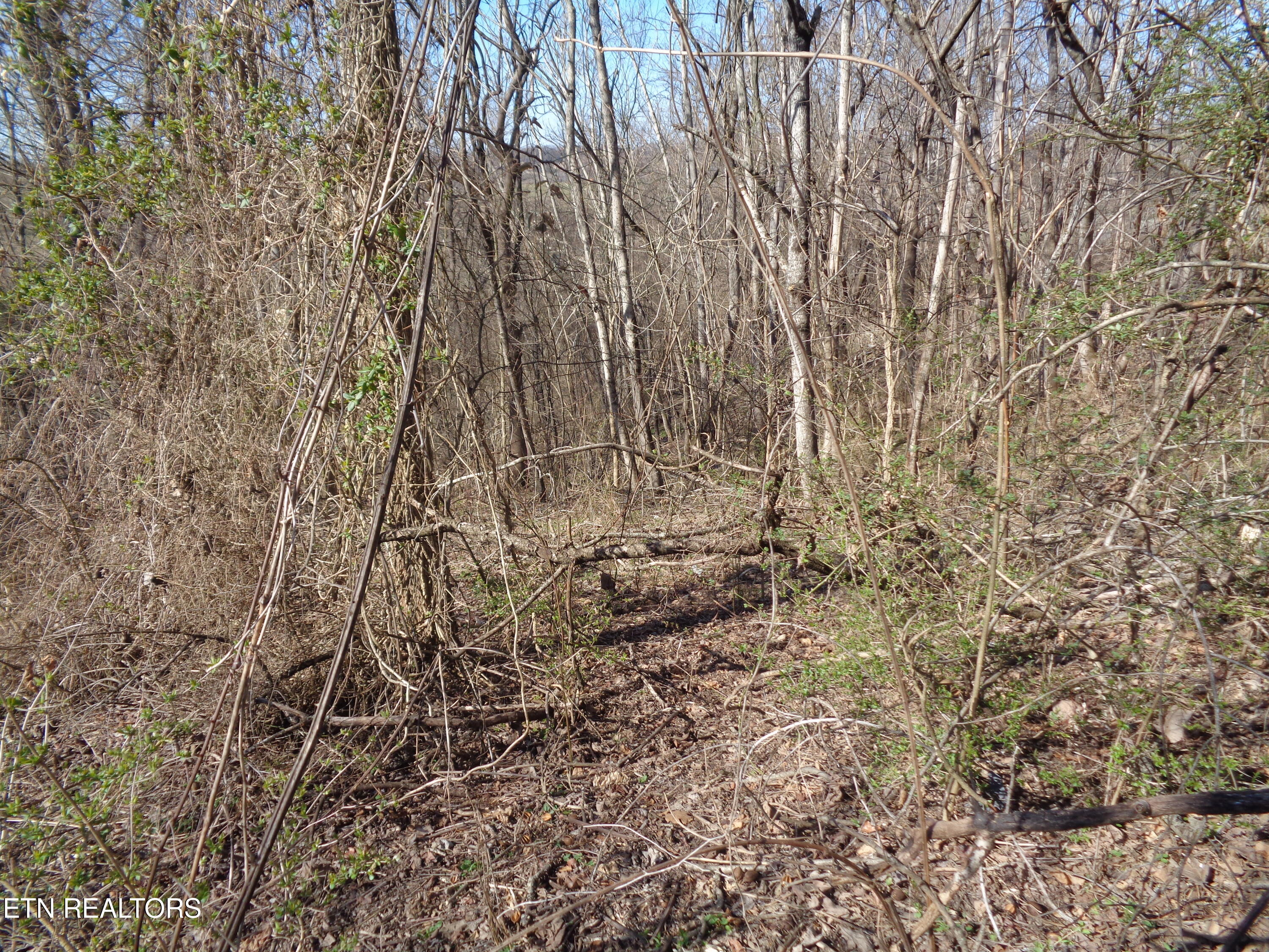 0 Holston River Drive Rutledge TN 37861