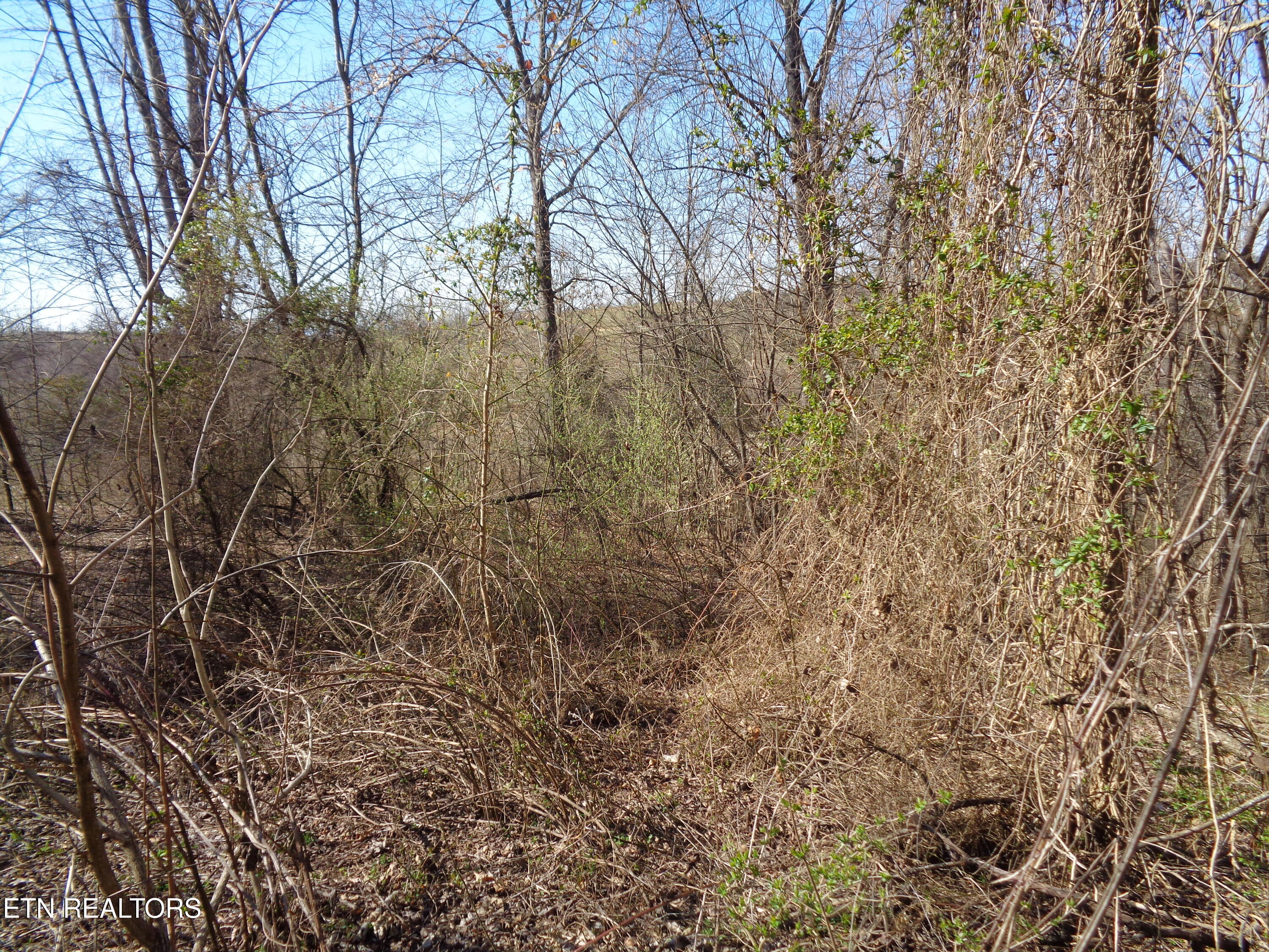 0 Holston River Drive Rutledge TN 37861