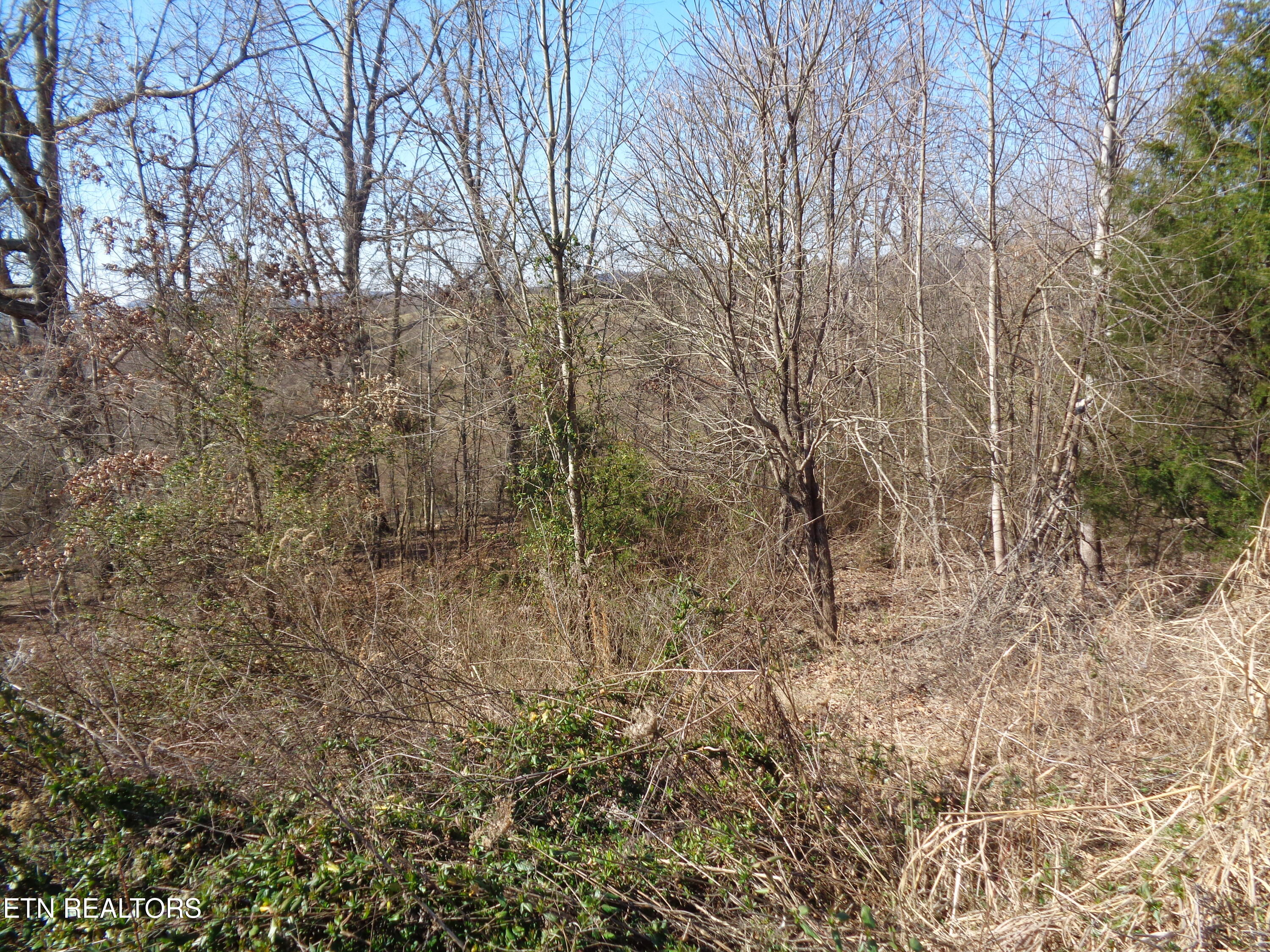 0 Holston River Drive Rutledge TN 37861