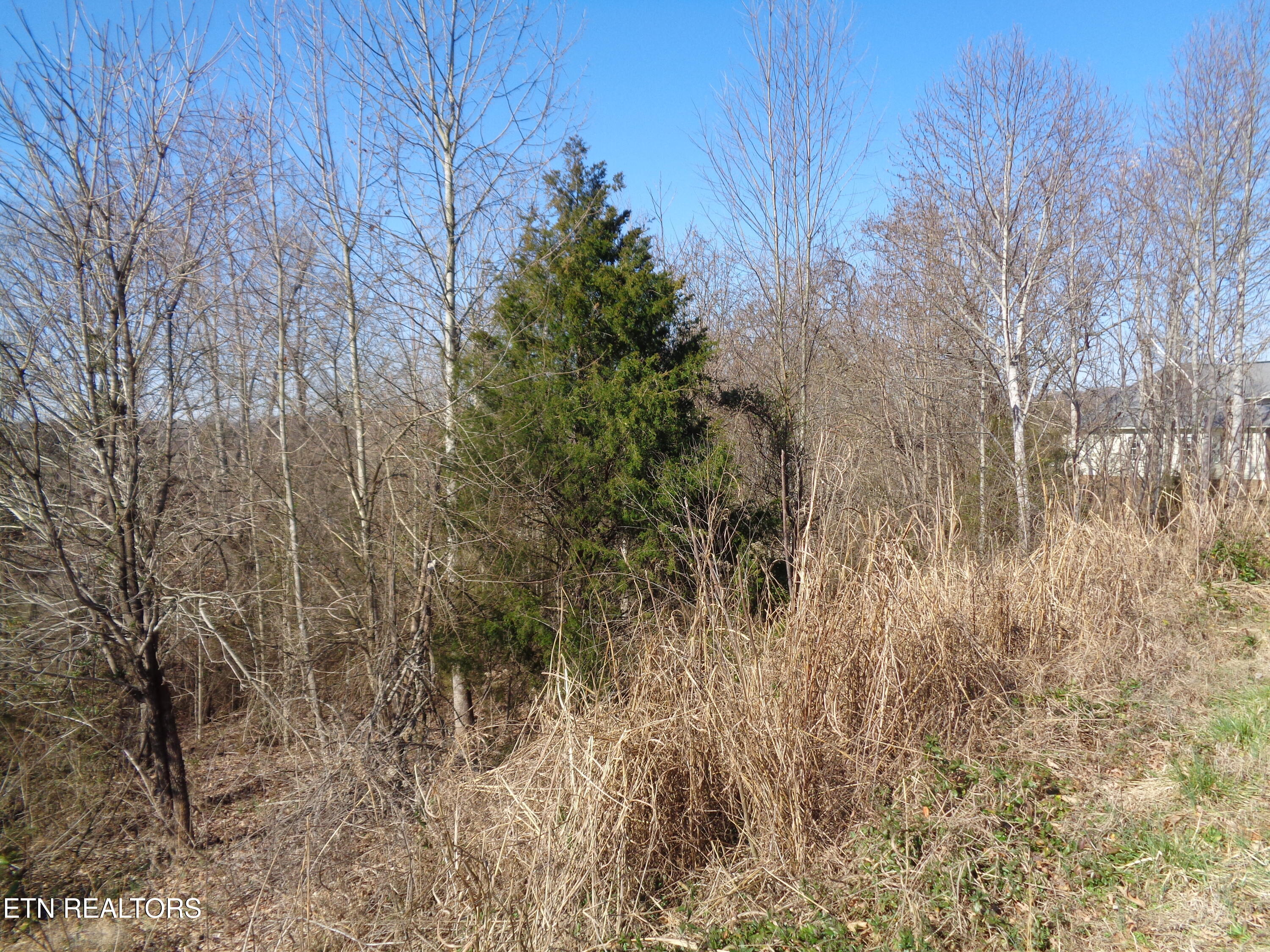 0 Holston River Drive Rutledge TN 37861