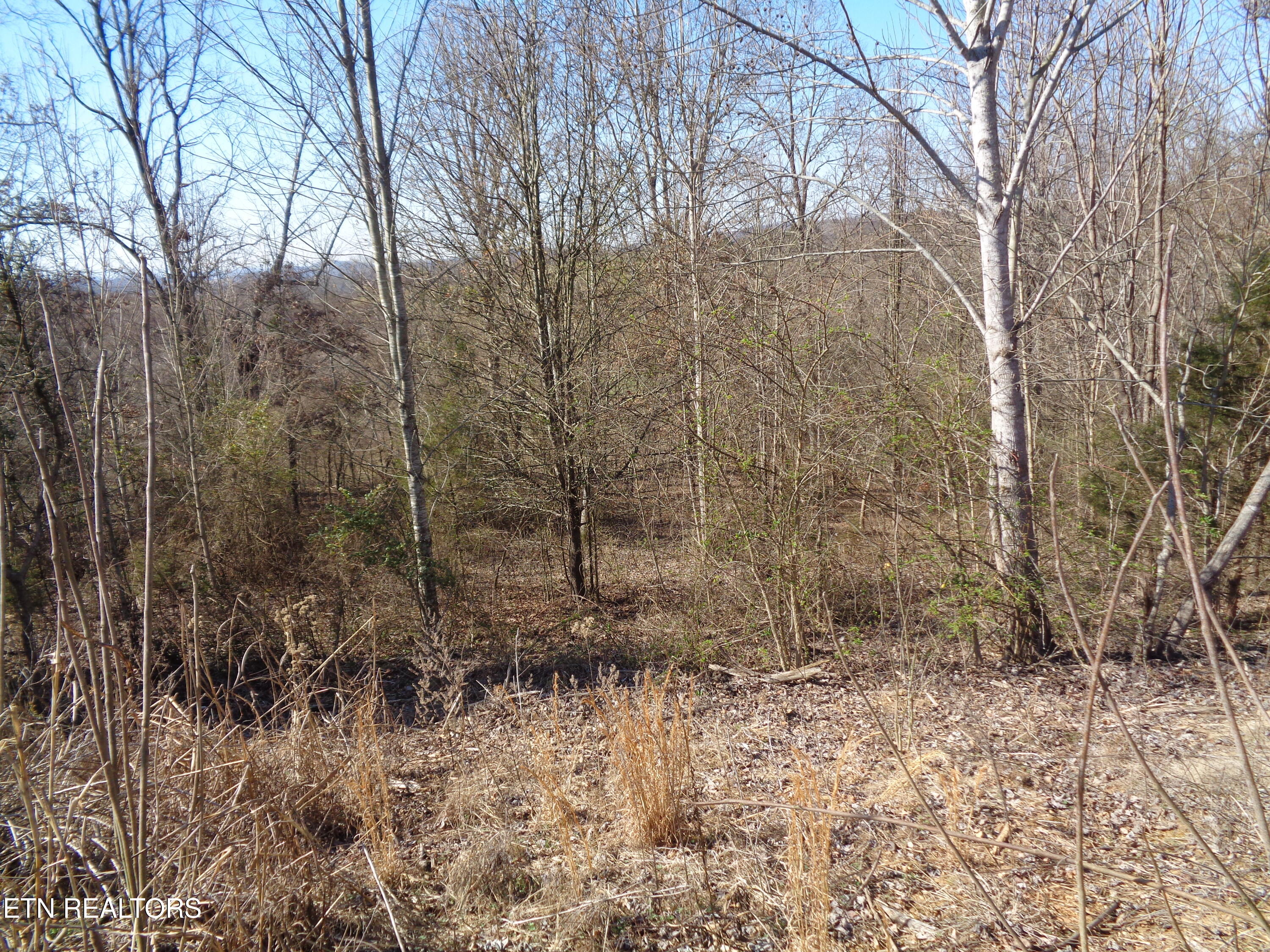 0 Holston River Drive Rutledge TN 37861