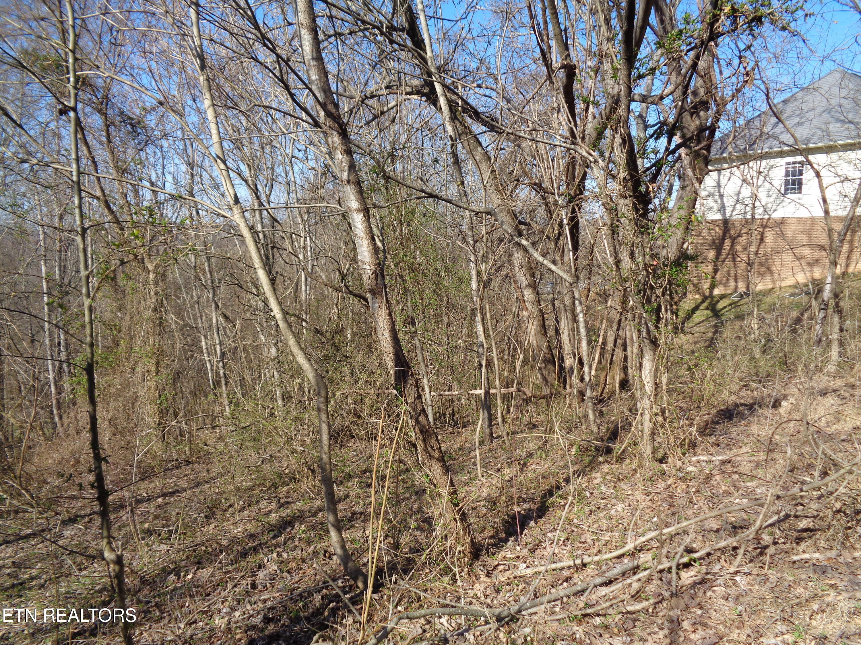 0 Holston River Drive Rutledge TN 37861