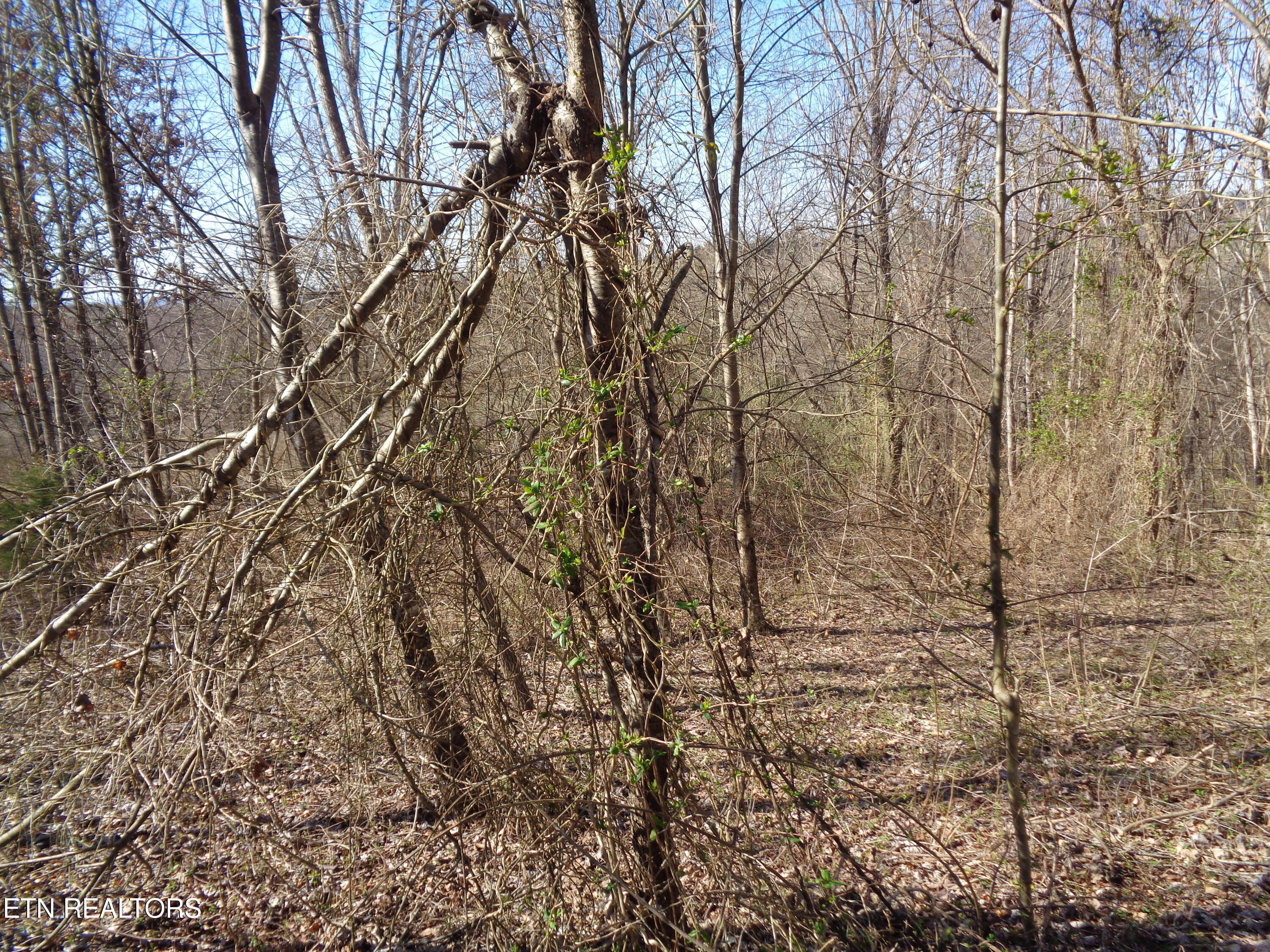 0 Holston River Drive Rutledge TN 37861