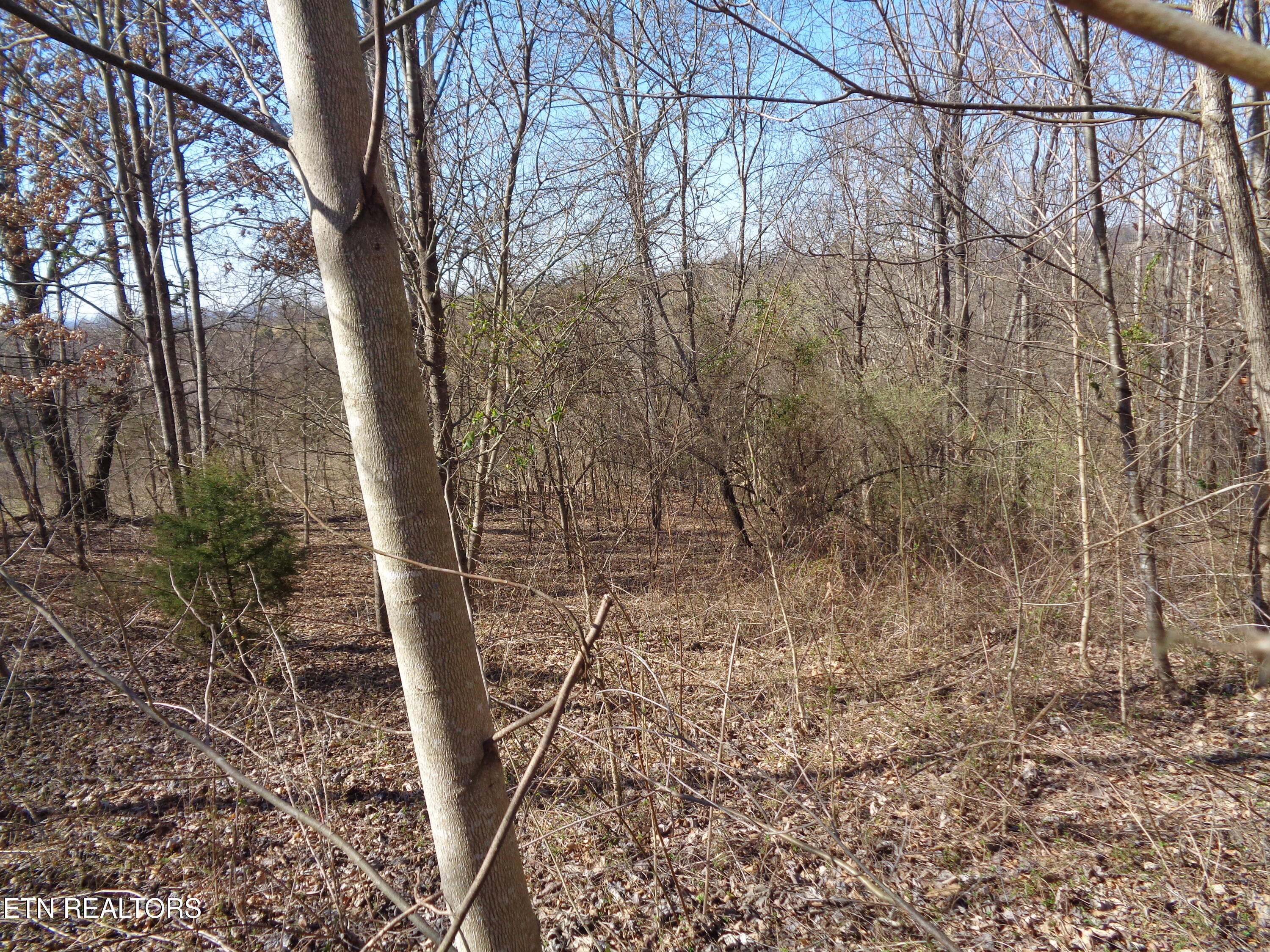 0 Holston River Drive Rutledge TN 37861