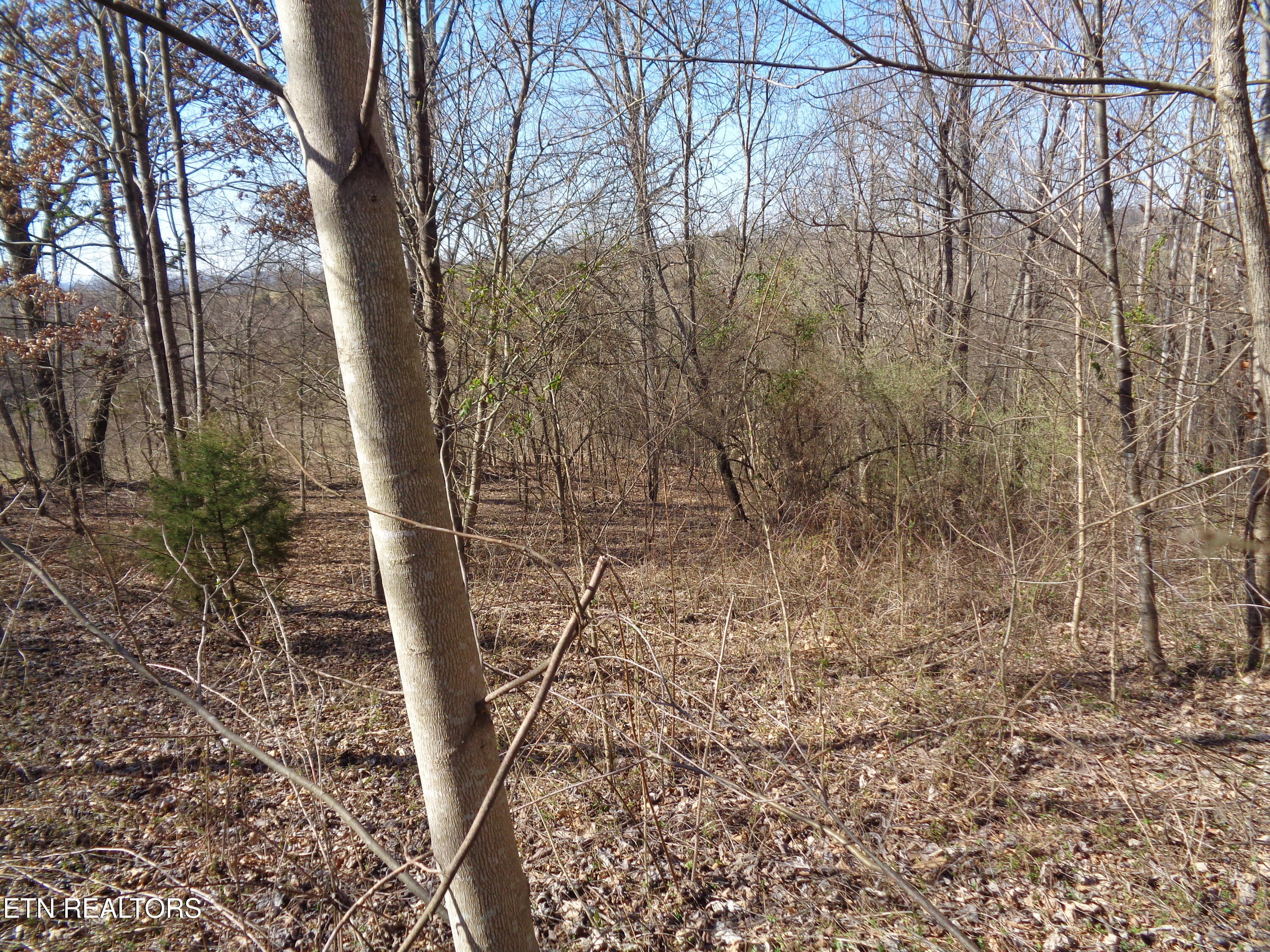 0 Holston River Drive Rutledge TN 37861