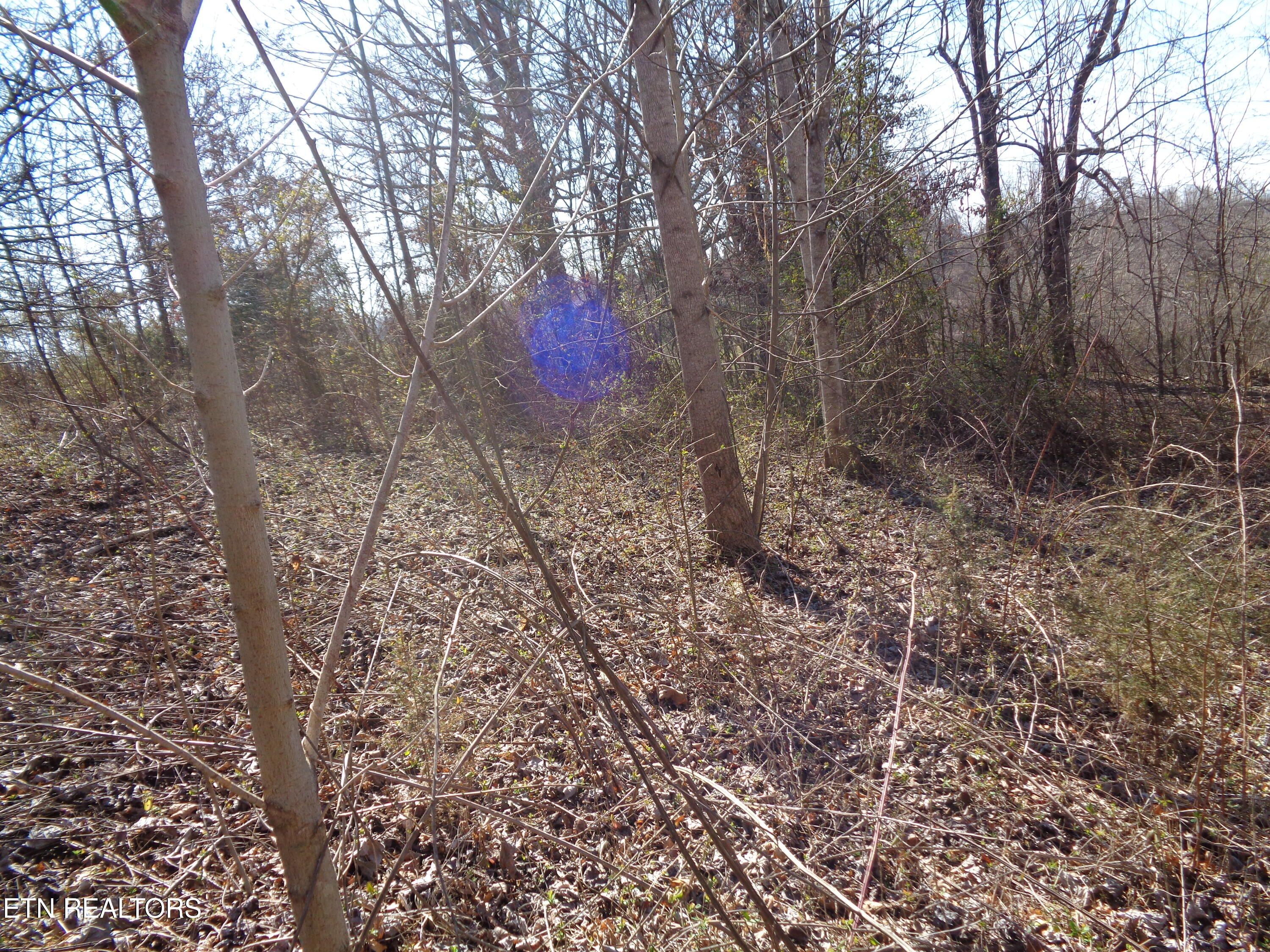 0 Holston River Drive Rutledge TN 37861