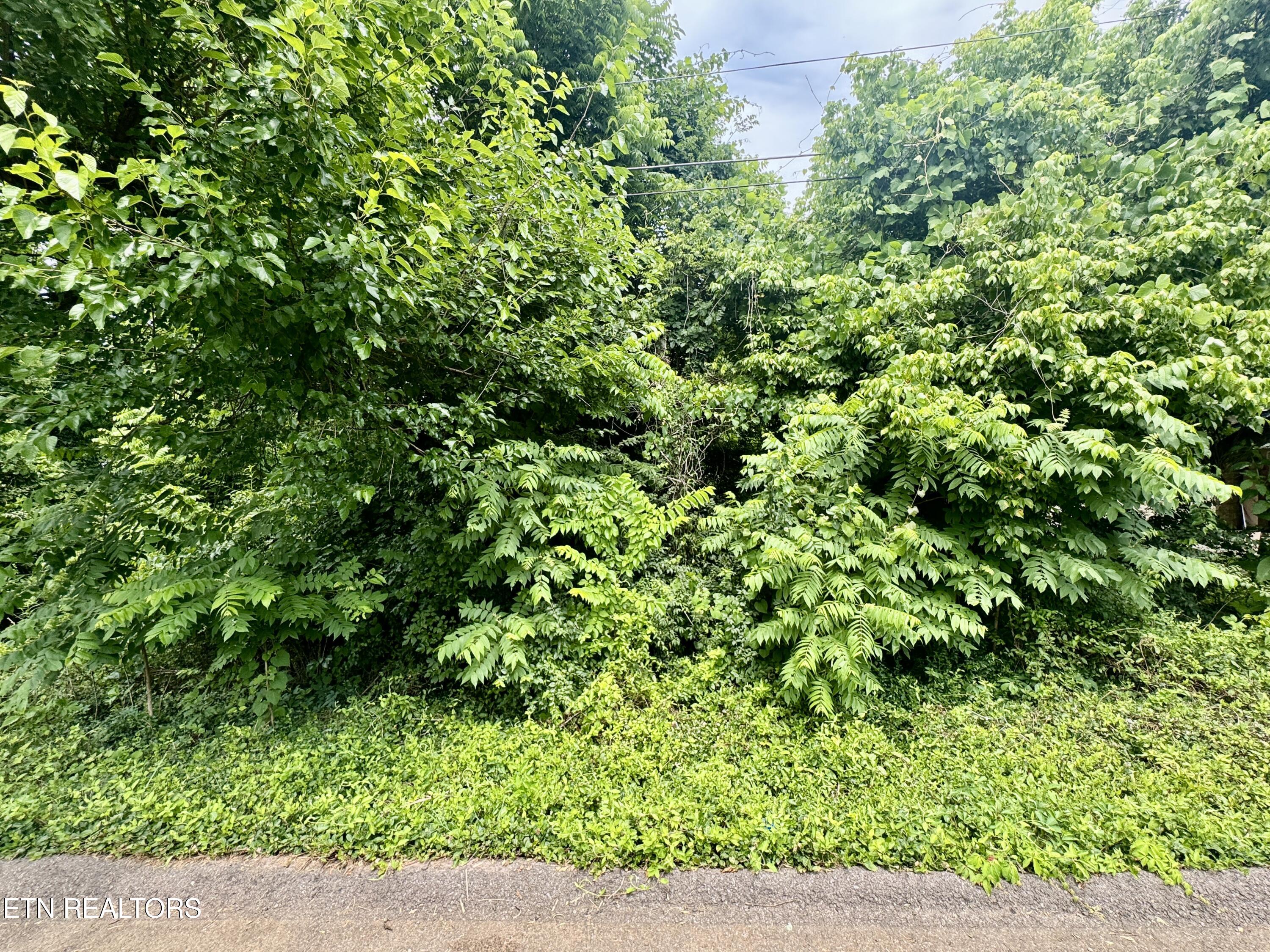 1018 Cedarwood Street Knoxville TN 37914
