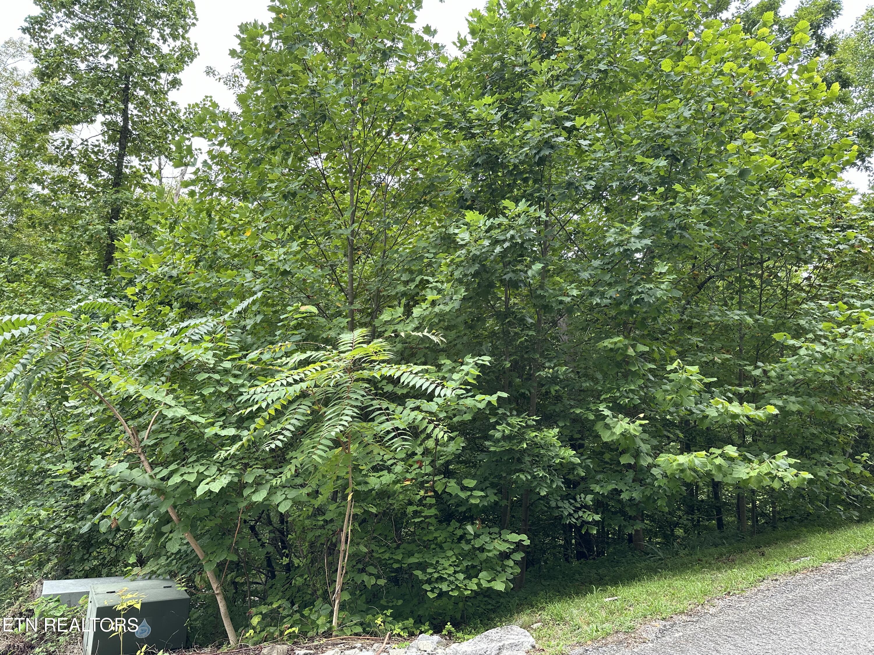 Lot 22 Ridge Road Caryville TN 37714