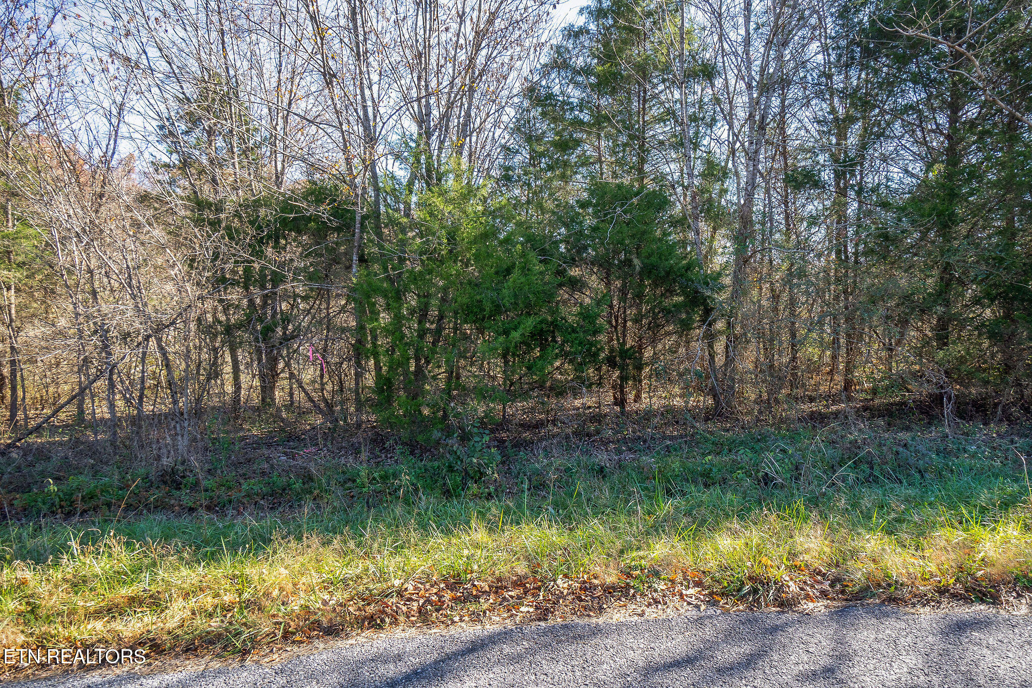 0 E Bethlehem Road Sparta TN 38583