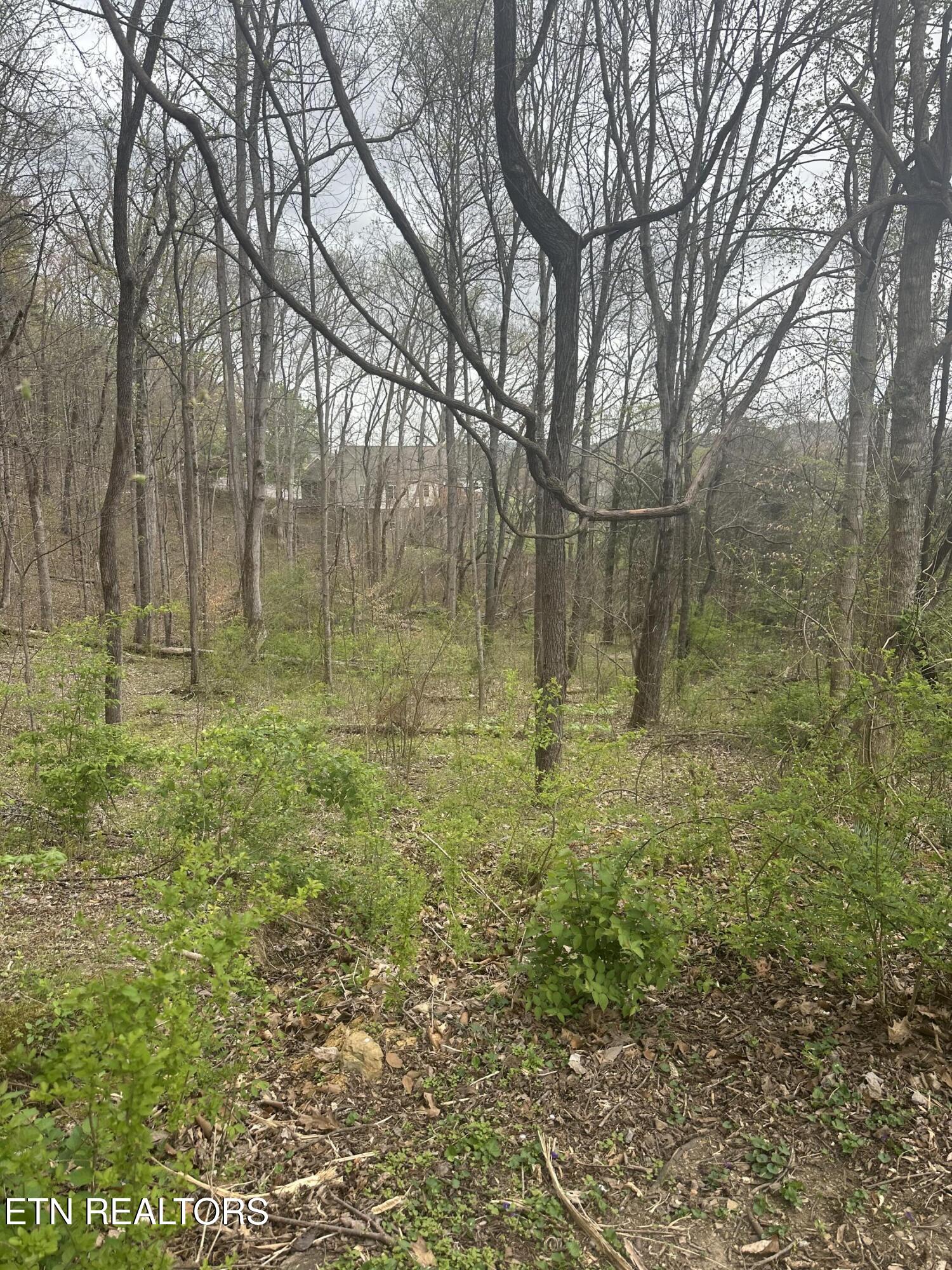 Mountain Grove Lane Seymour TN 37865