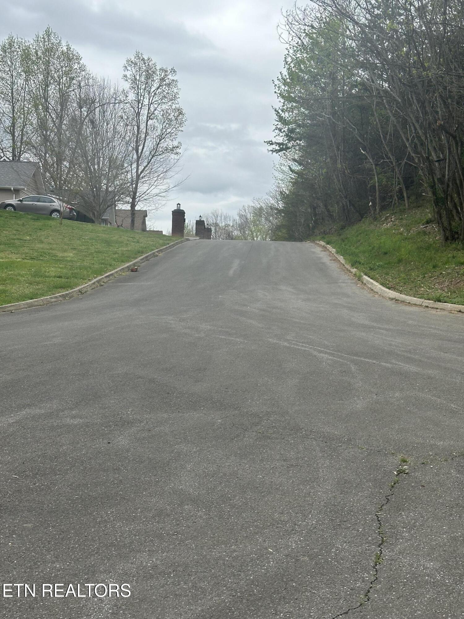 Mountain Grove Lane Seymour TN 37865