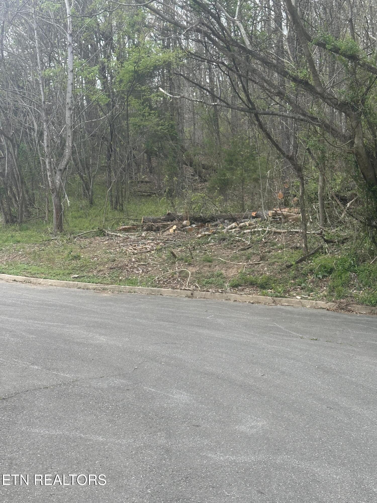 Mountain Grove Lane Seymour TN 37865