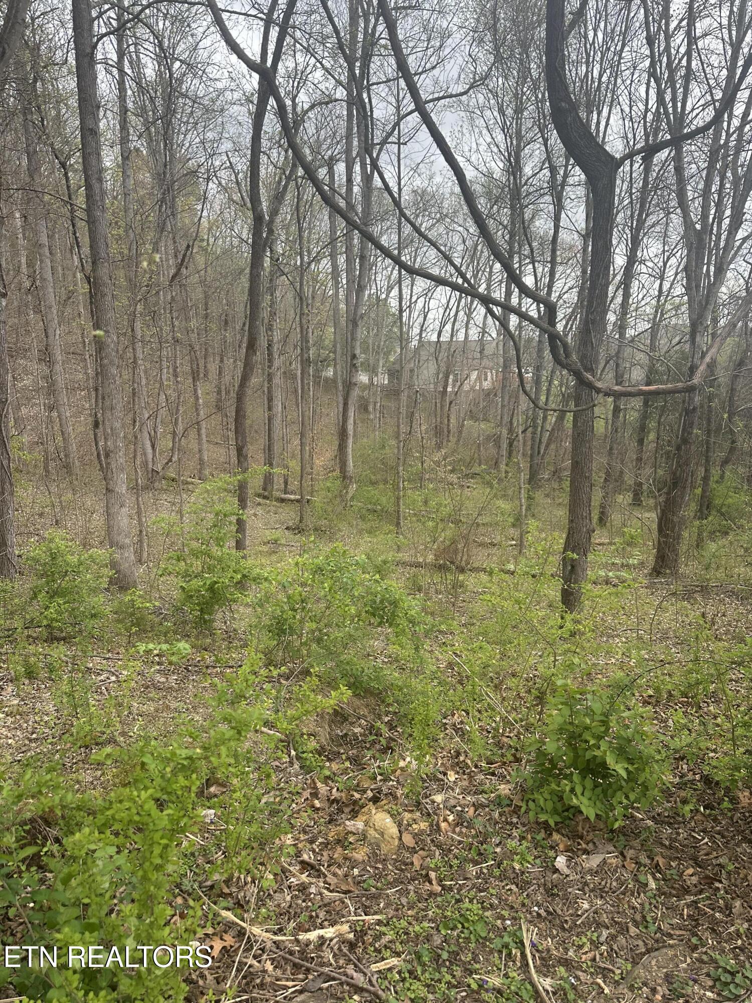 Mountain Grove Lane Seymour TN 37865