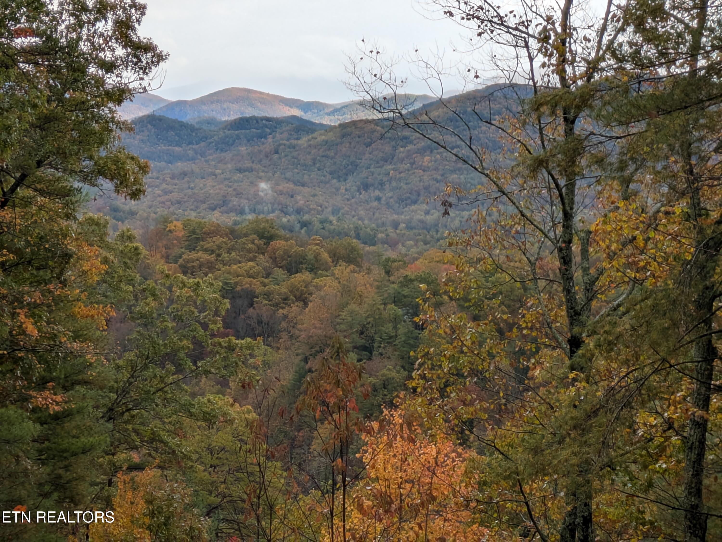 Bear Den Road Townsend TN 37882