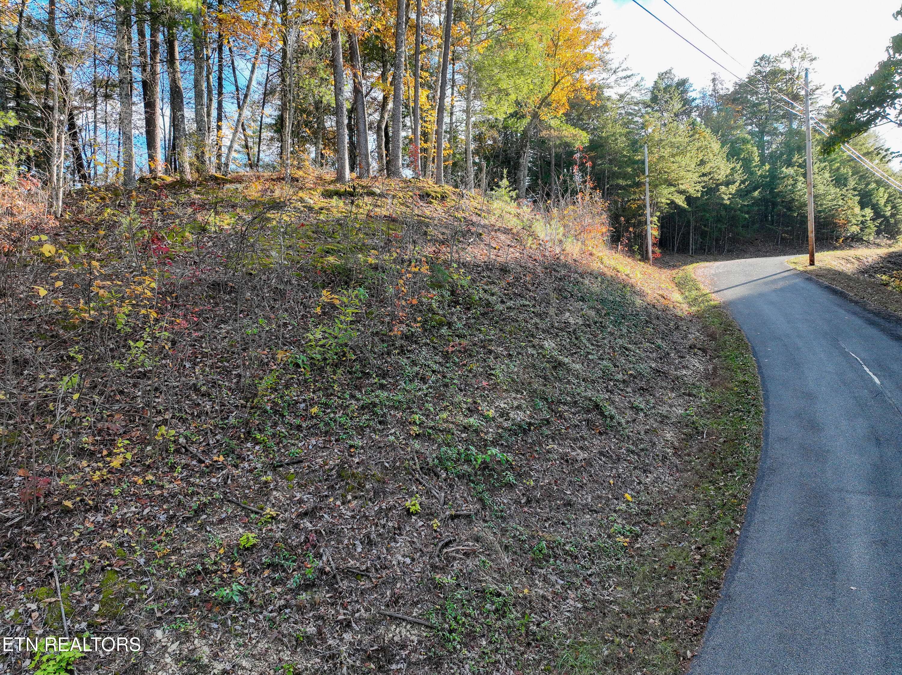 Bear Den Road Townsend TN 37882
