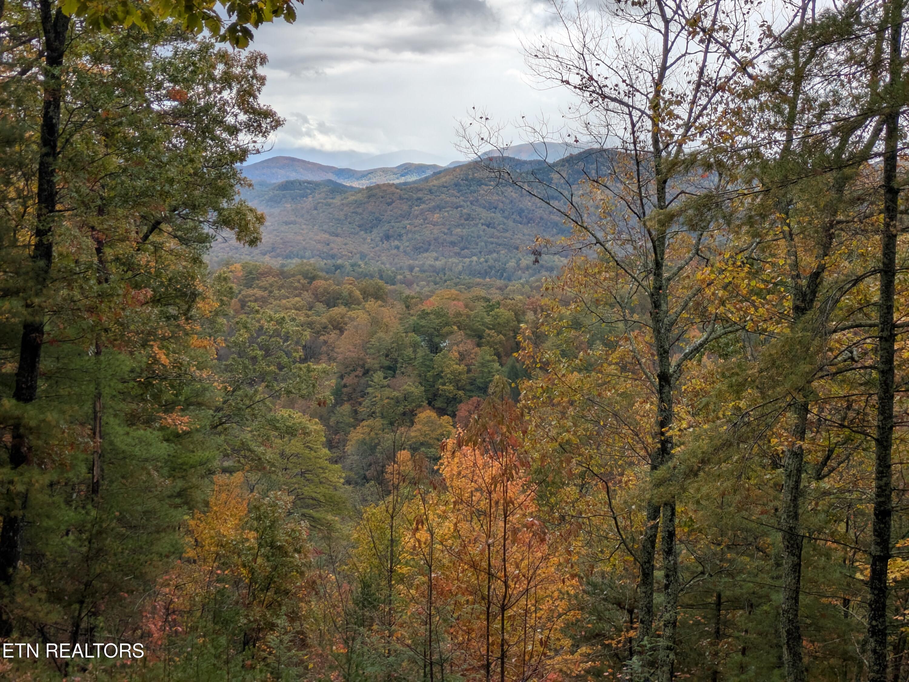 Bear Den Road Townsend TN 37882