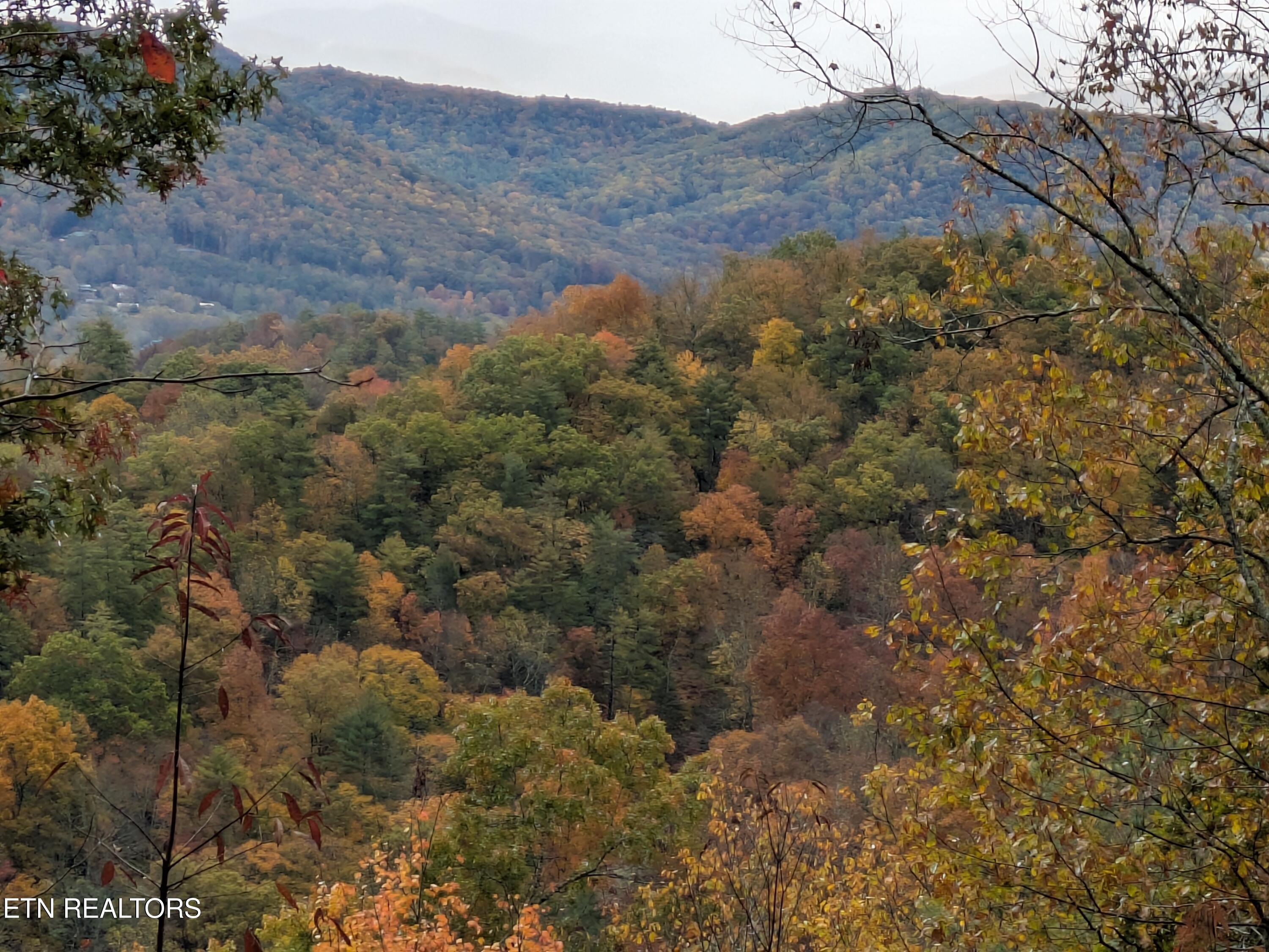 Bear Den Road Townsend TN 37882
