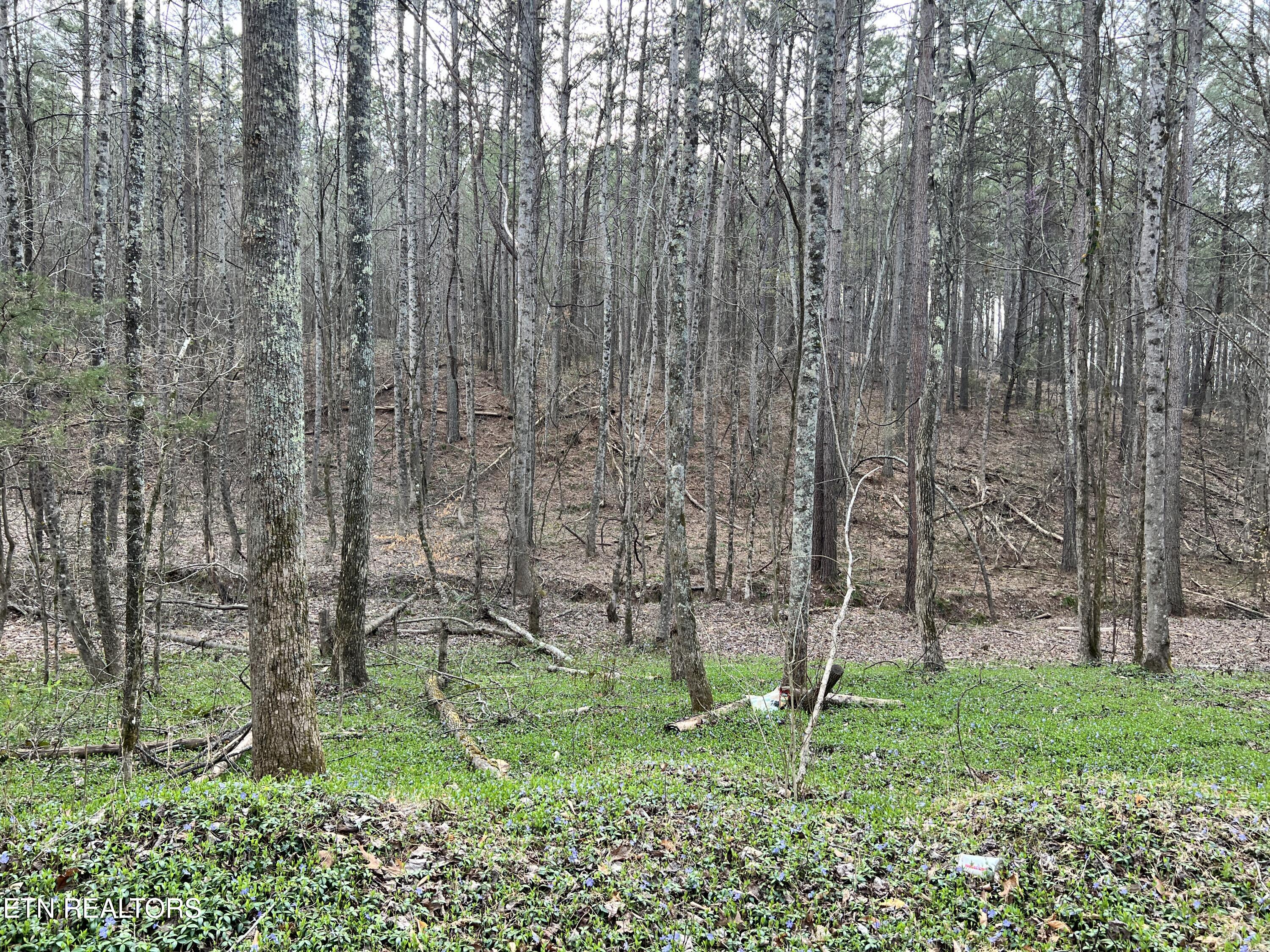 Butler Road Lot 4 Decatur TN 37322