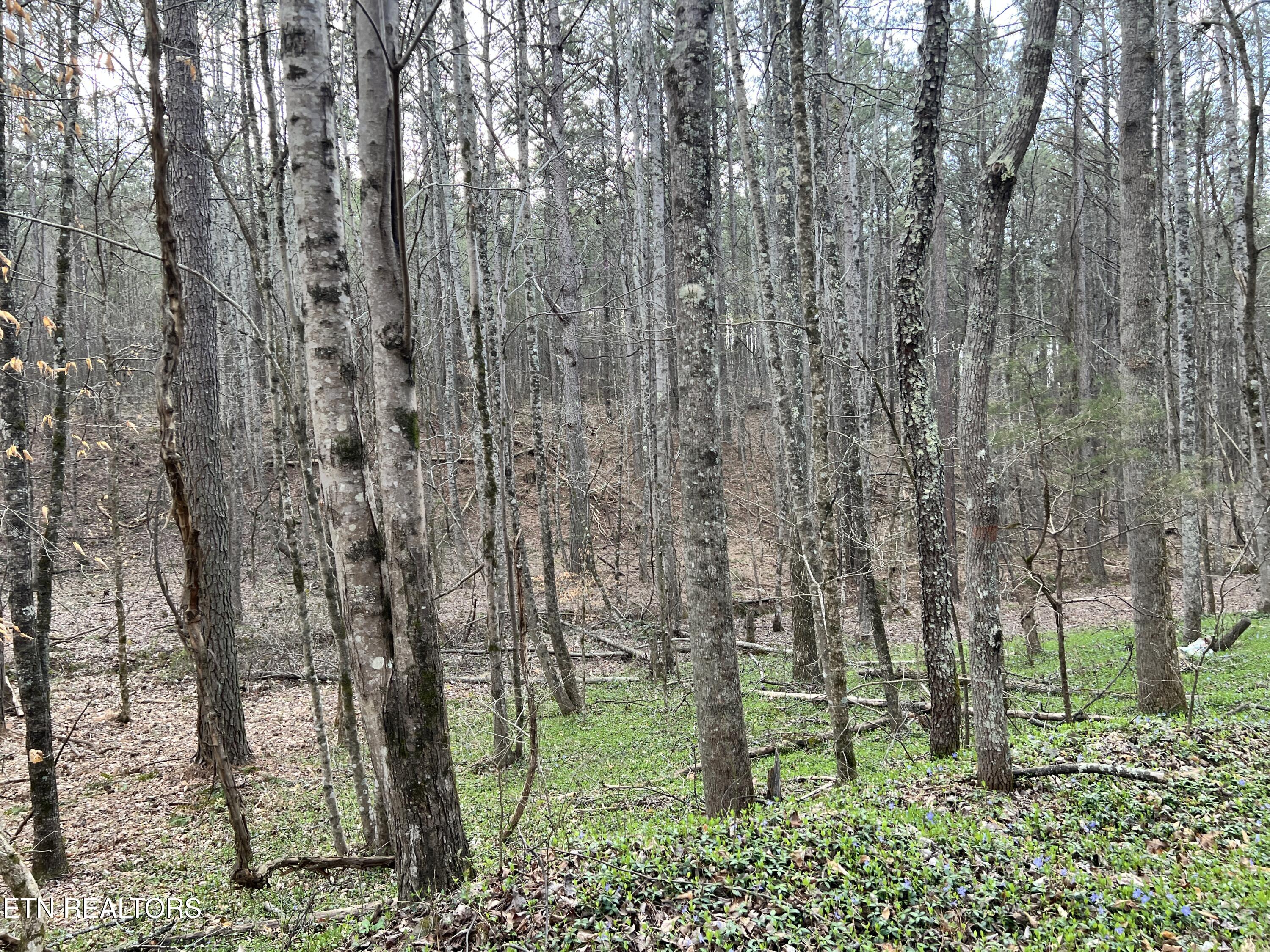 Butler Road Lot 4 Decatur TN 37322