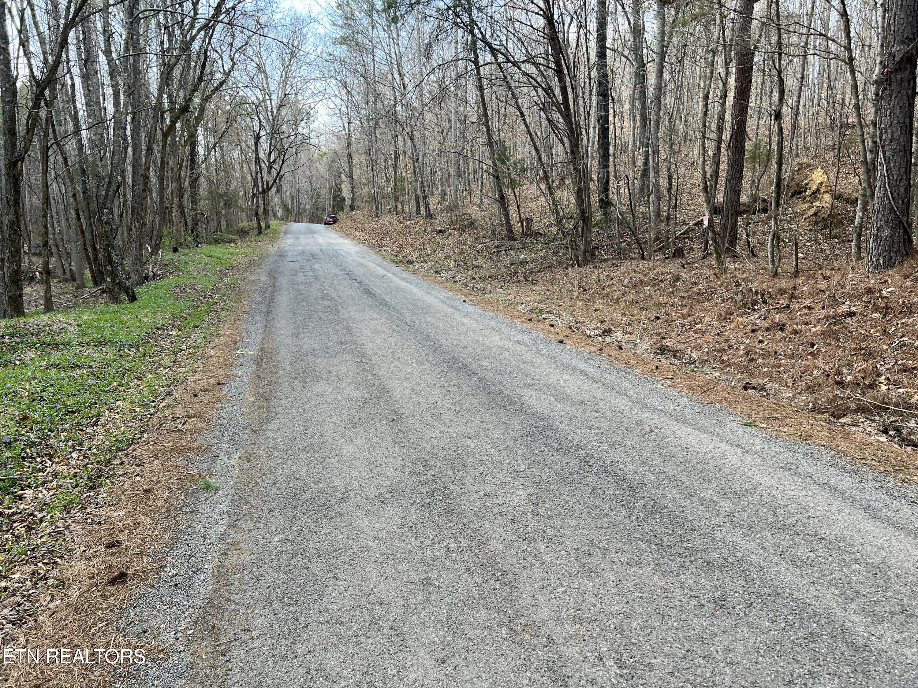 Butler Road Lot 4 Decatur TN 37322