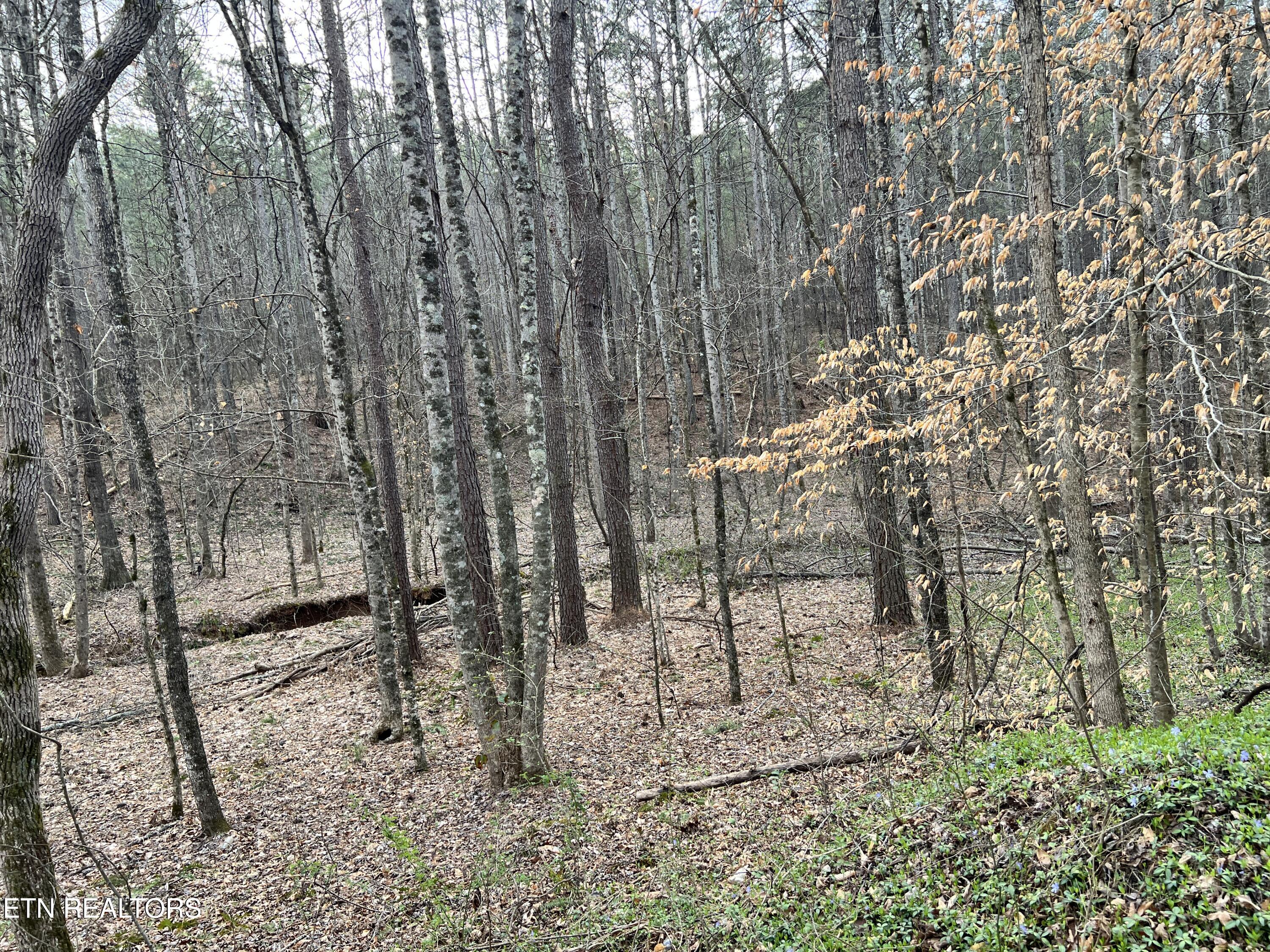 Butler Road Lot 4 Decatur TN 37322