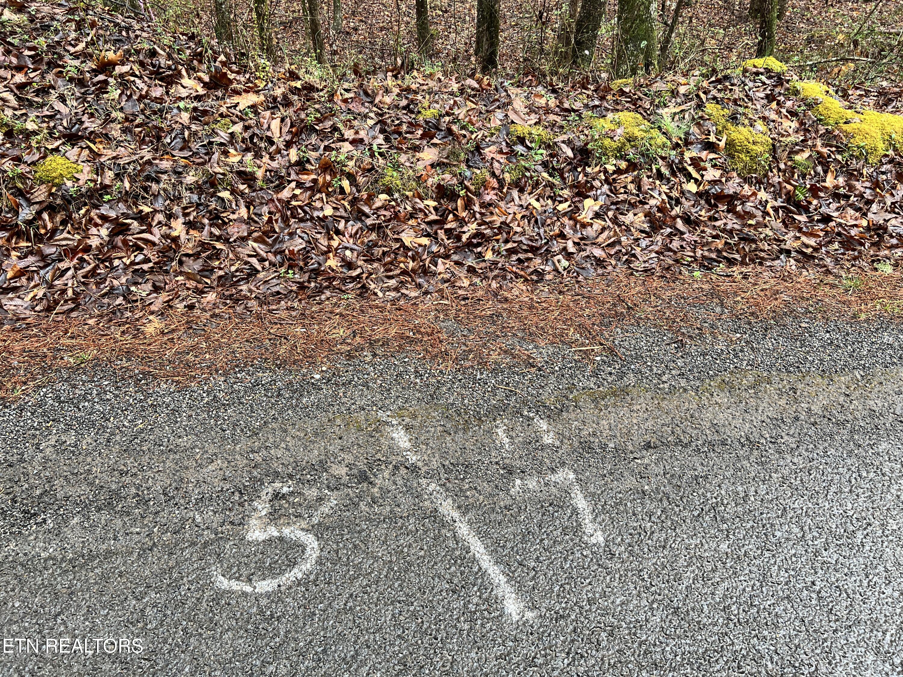 Butler Road Lot 4 Decatur TN 37322