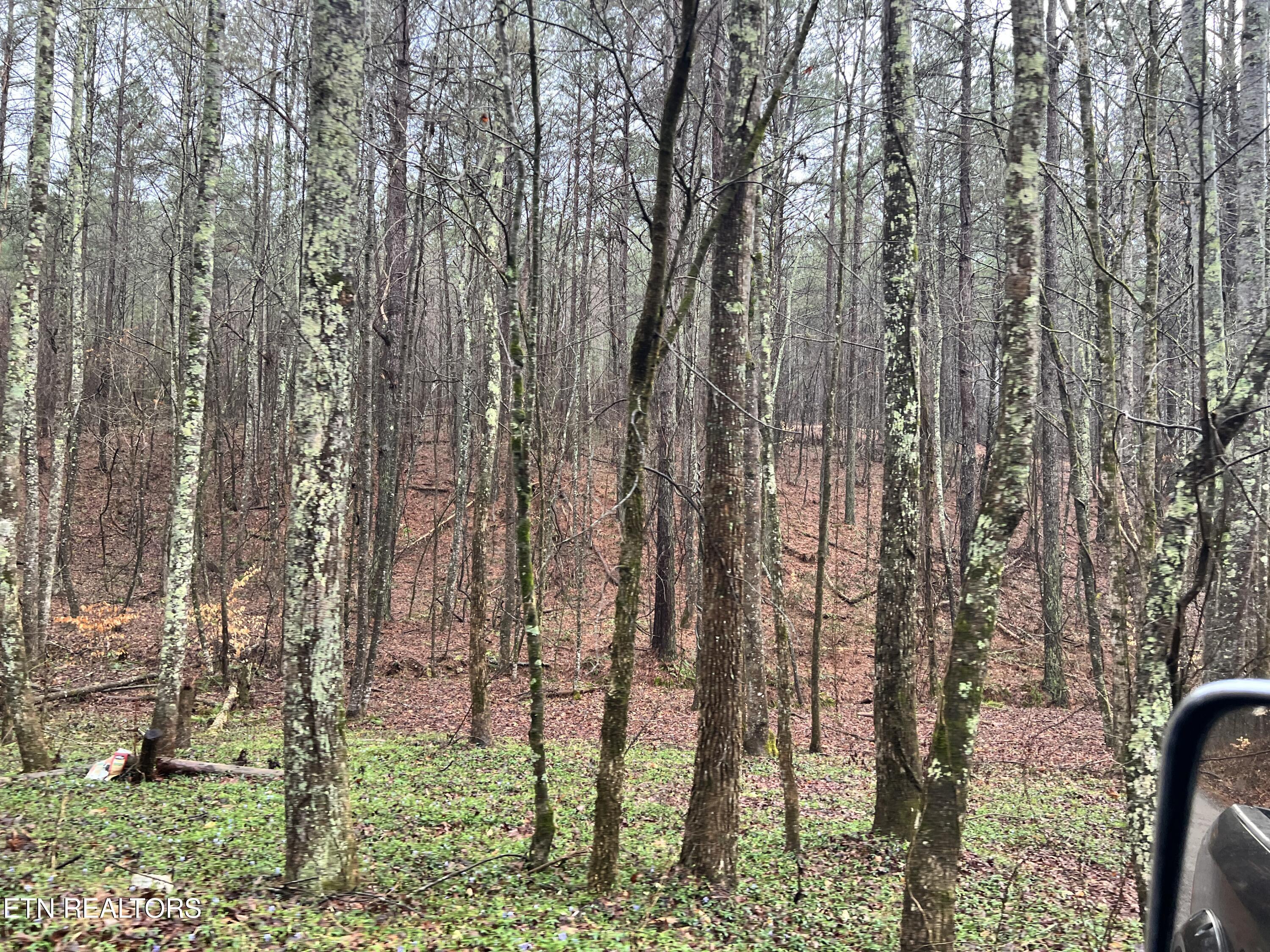 Butler Road Lot 4 Decatur TN 37322