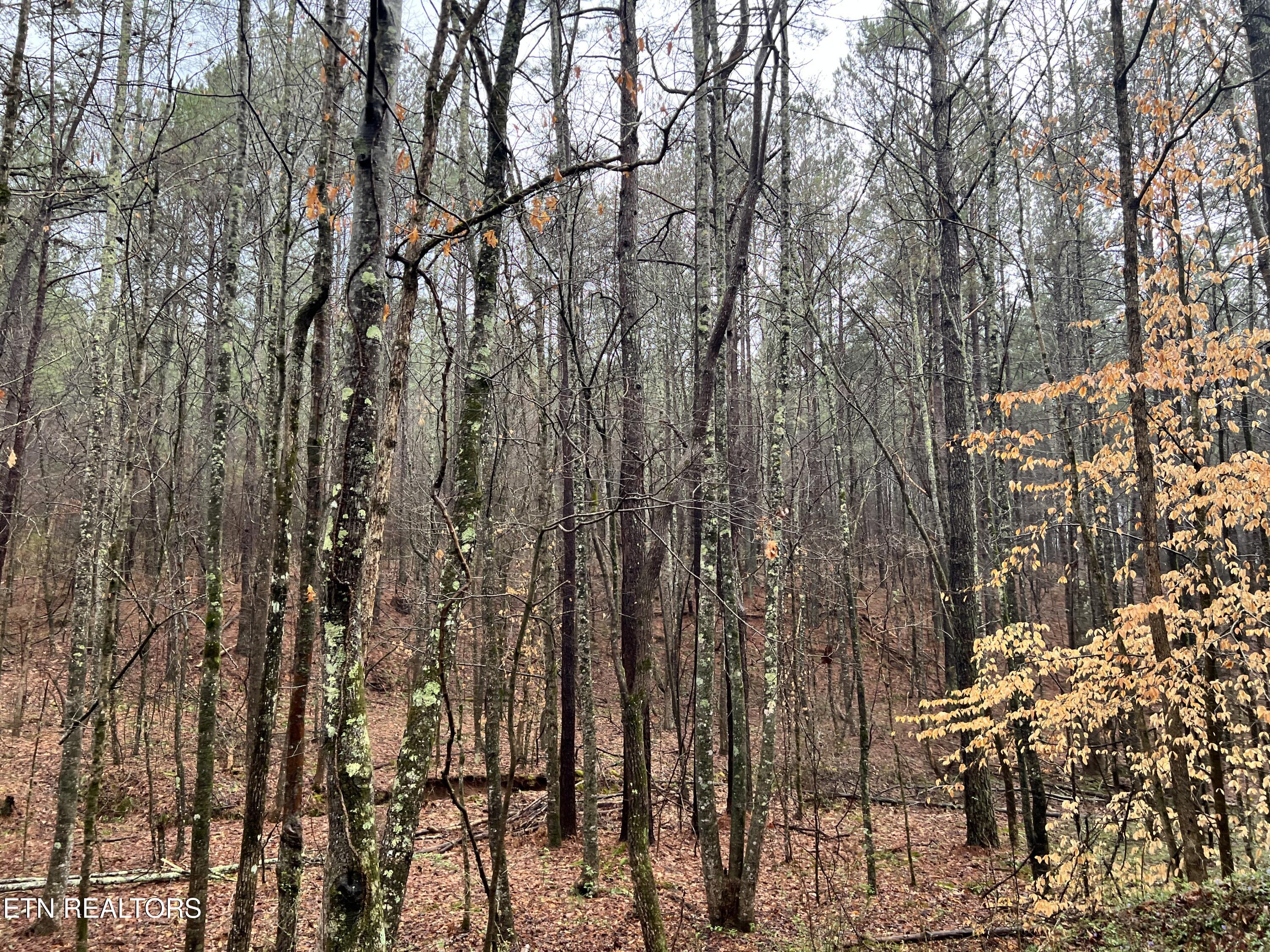 Butler Road Lot 4 Decatur TN 37322