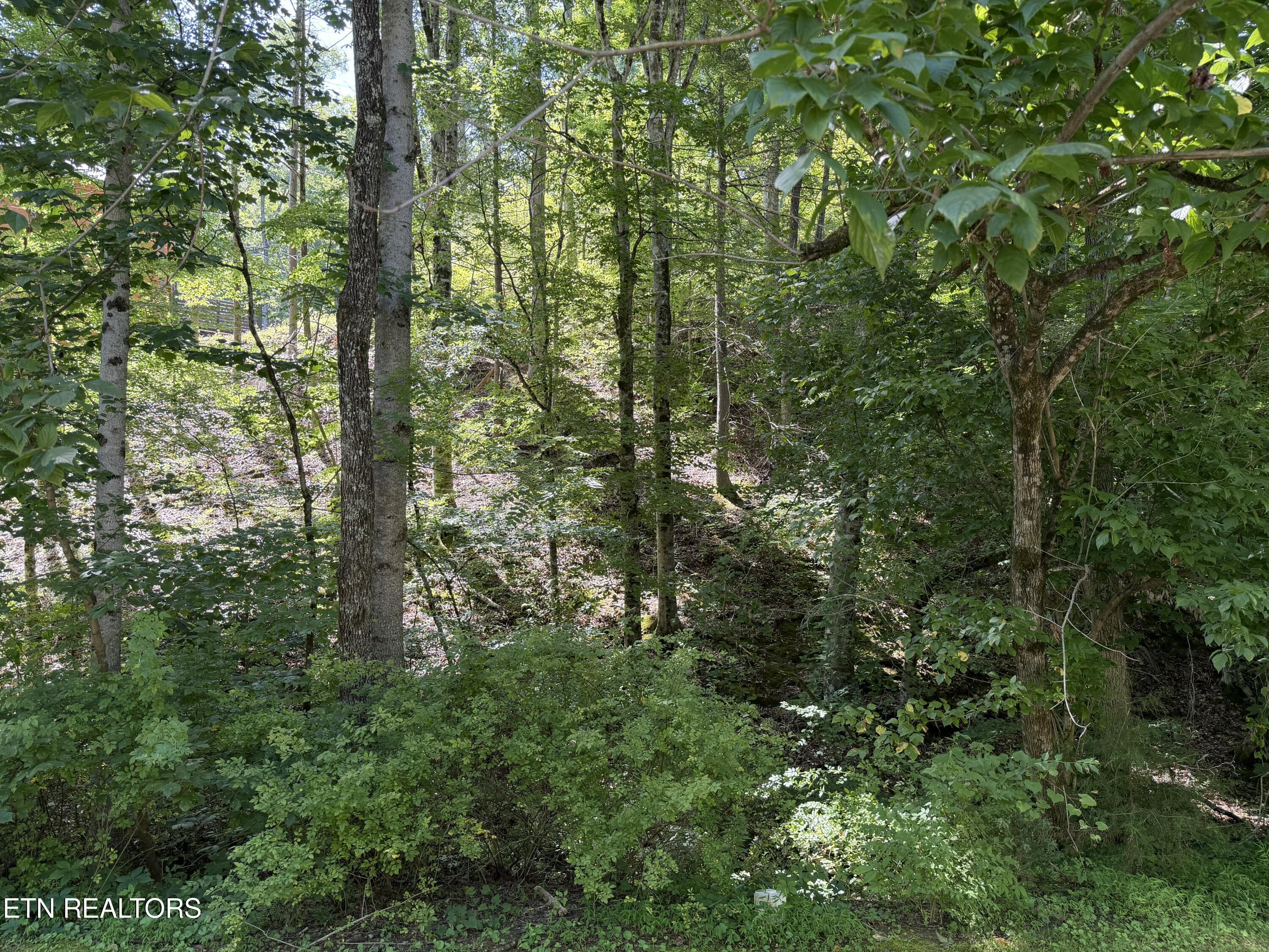 Lot 13 Smoky Mountain Way Sevierville TN 37876