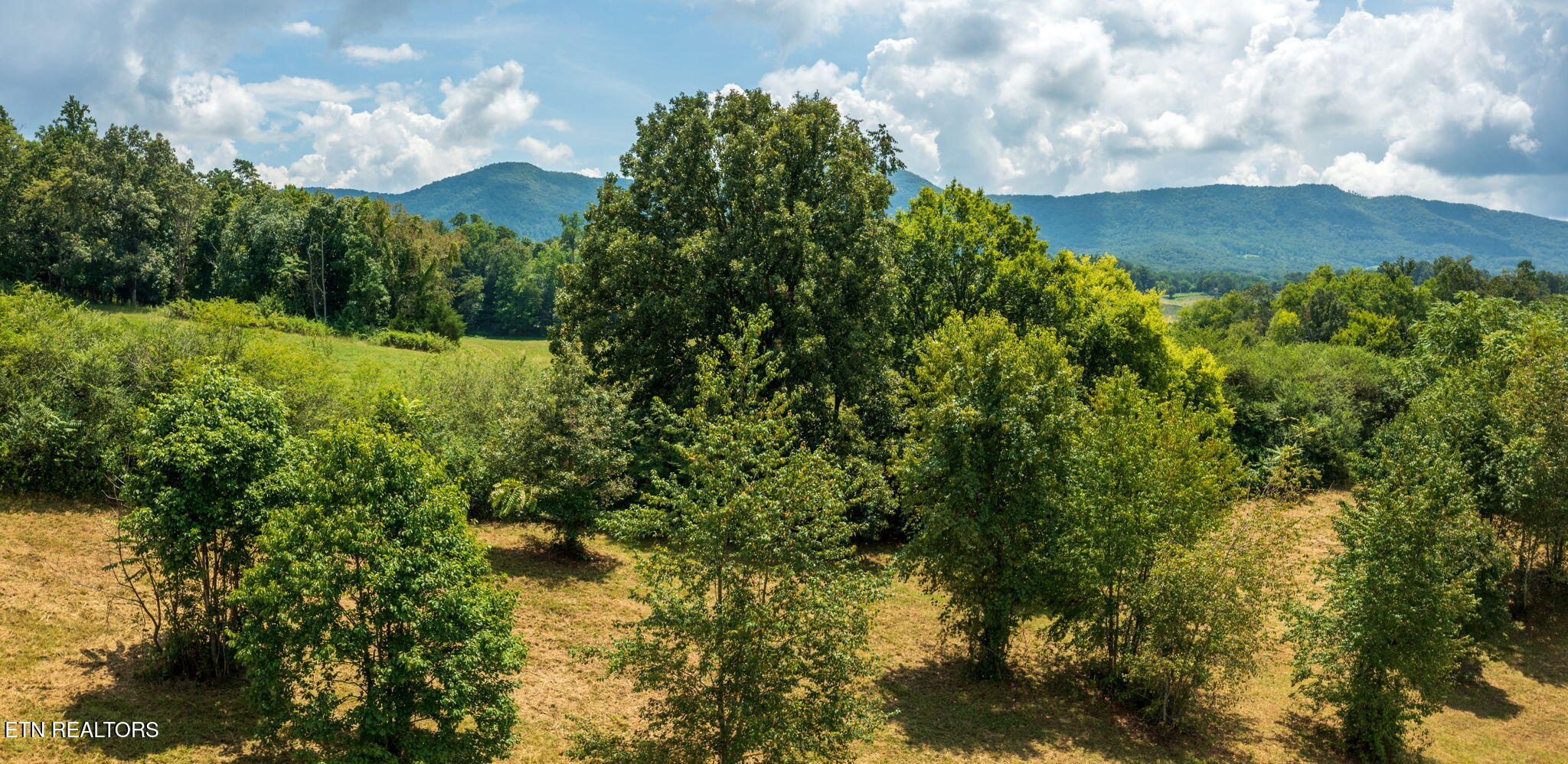 4151 Newport Highway Sevierville TN 37876