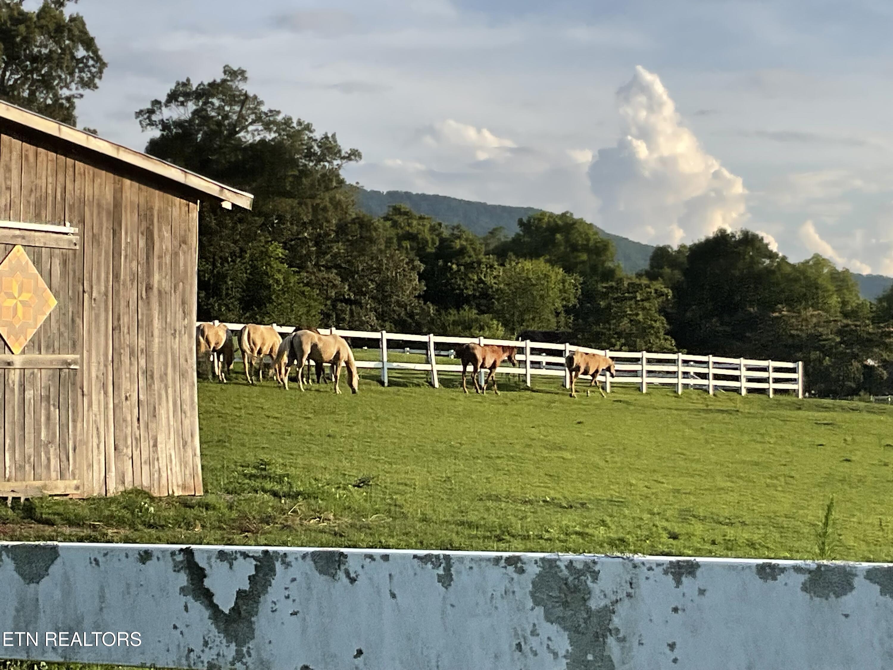 4151 Newport Highway Sevierville TN 37876