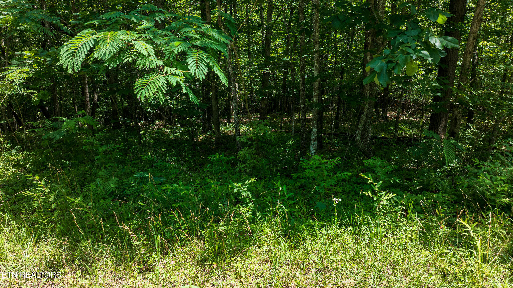 5011 Ostego Drive Crossville TN 38572