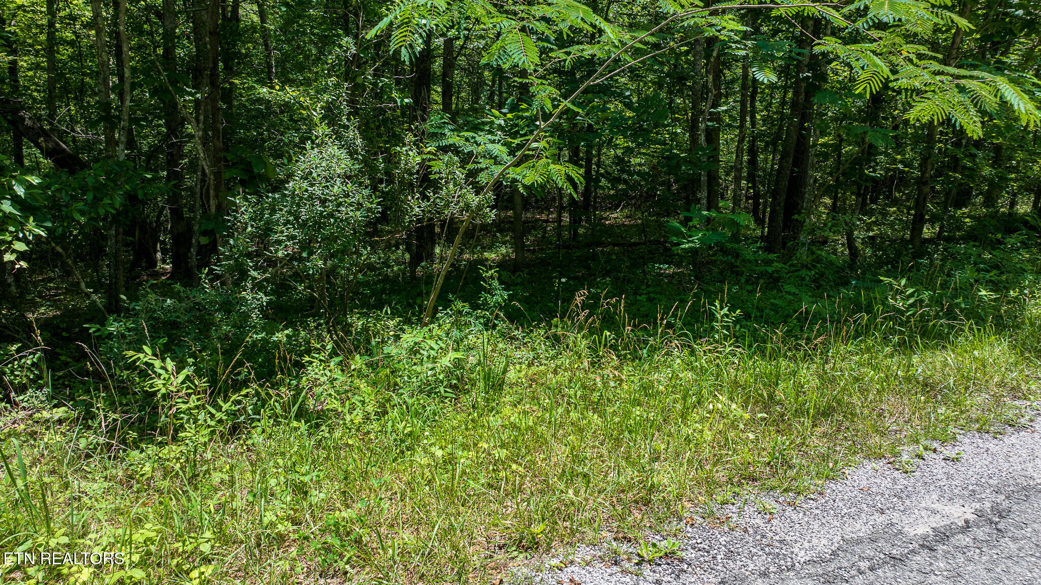 5011 Ostego Drive Crossville TN 38572