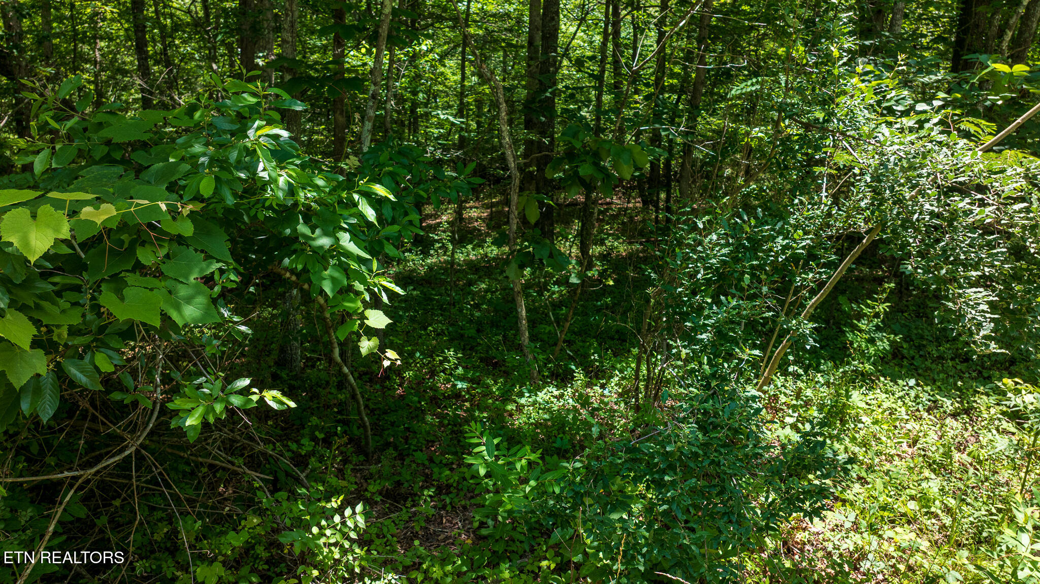 5011 Ostego Drive Crossville TN 38572