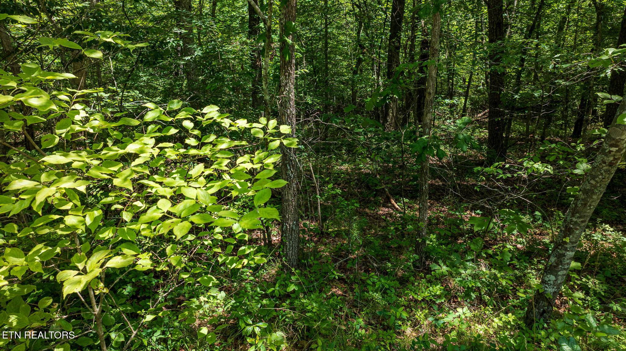5011 Ostego Drive Crossville TN 38572
